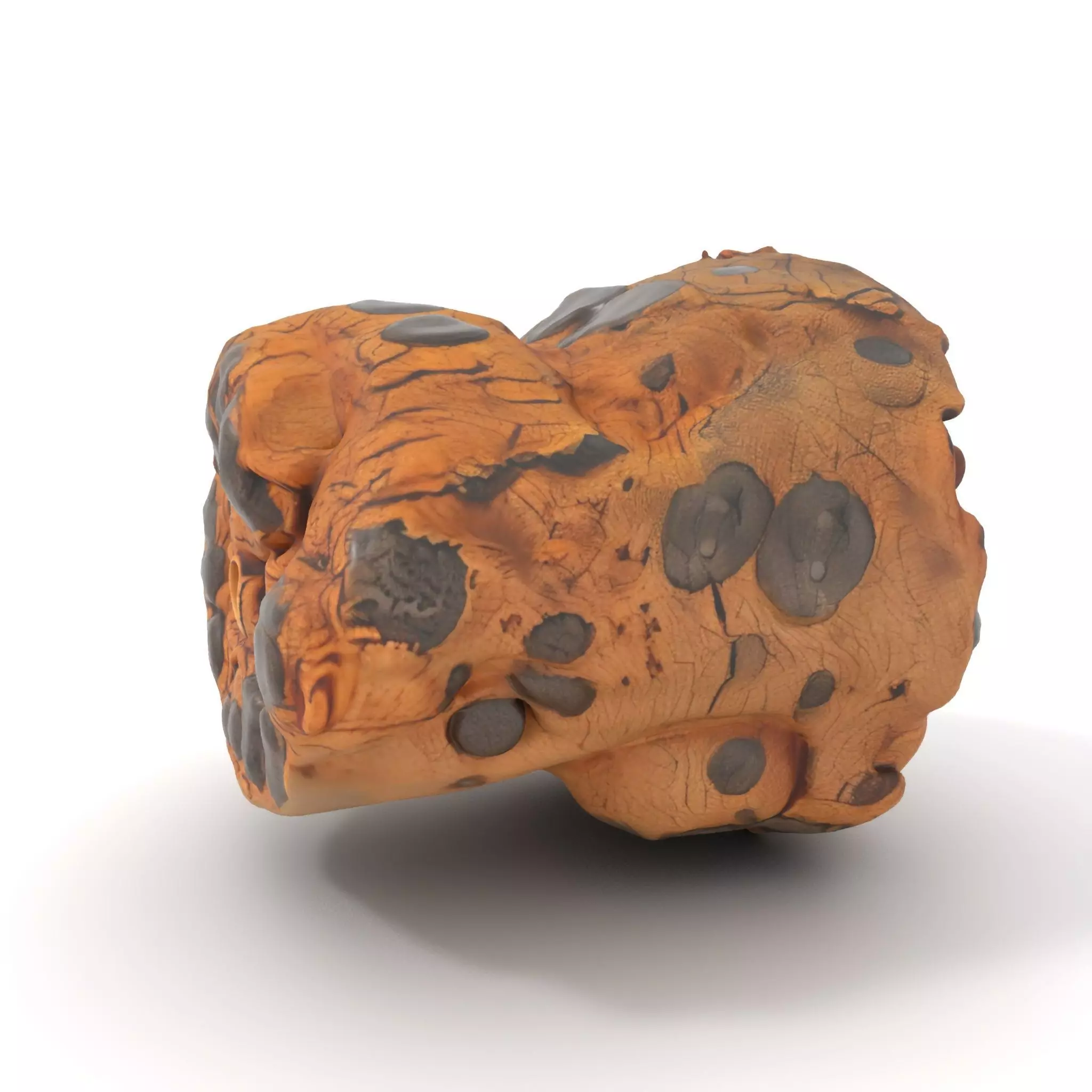 Weathered Bark Texture model pack Texture_0