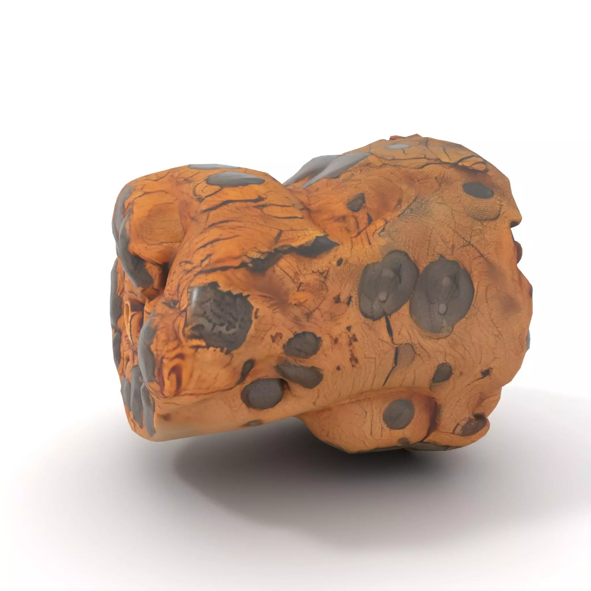 Weathered Bark Texture model pack Texture_19