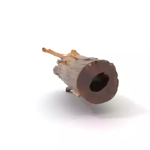 Rustic Wood Log model pack Texture