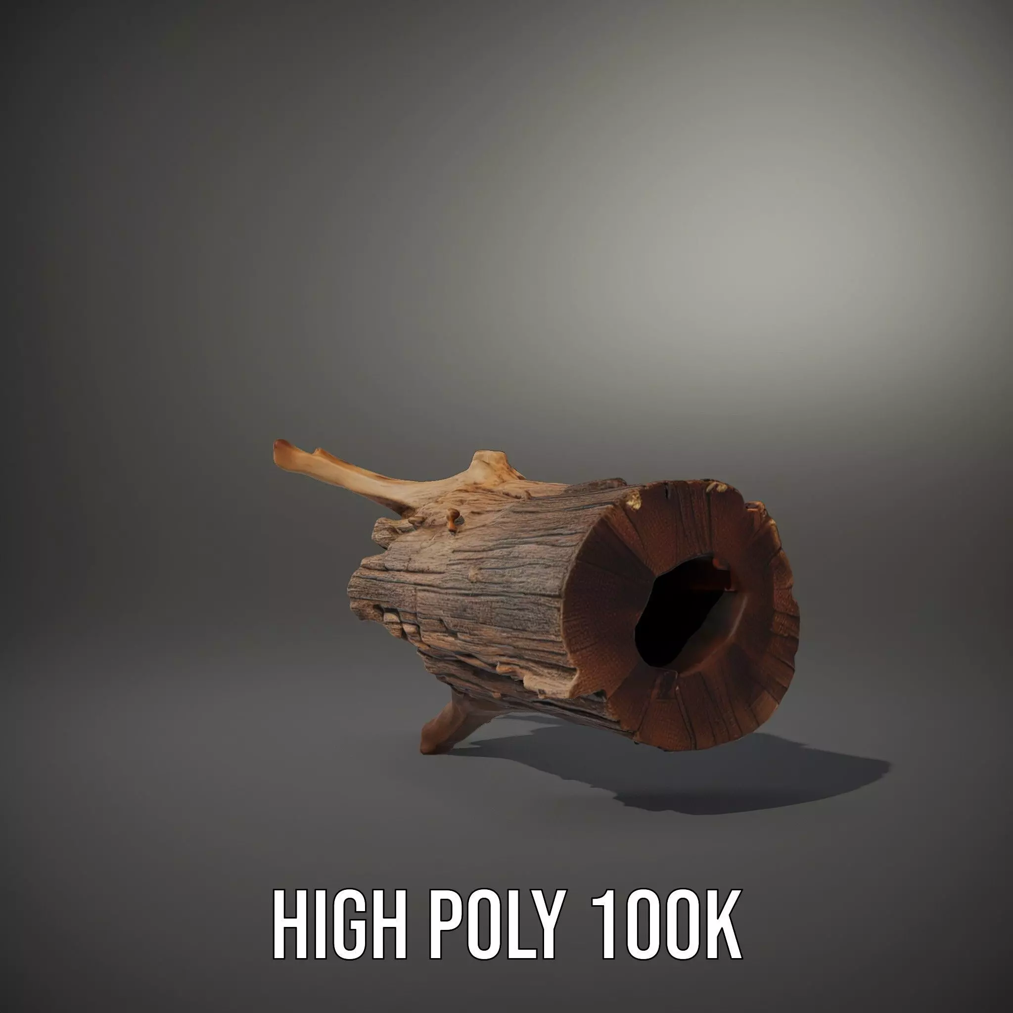 Rustic Wood Log model pack Texture_8