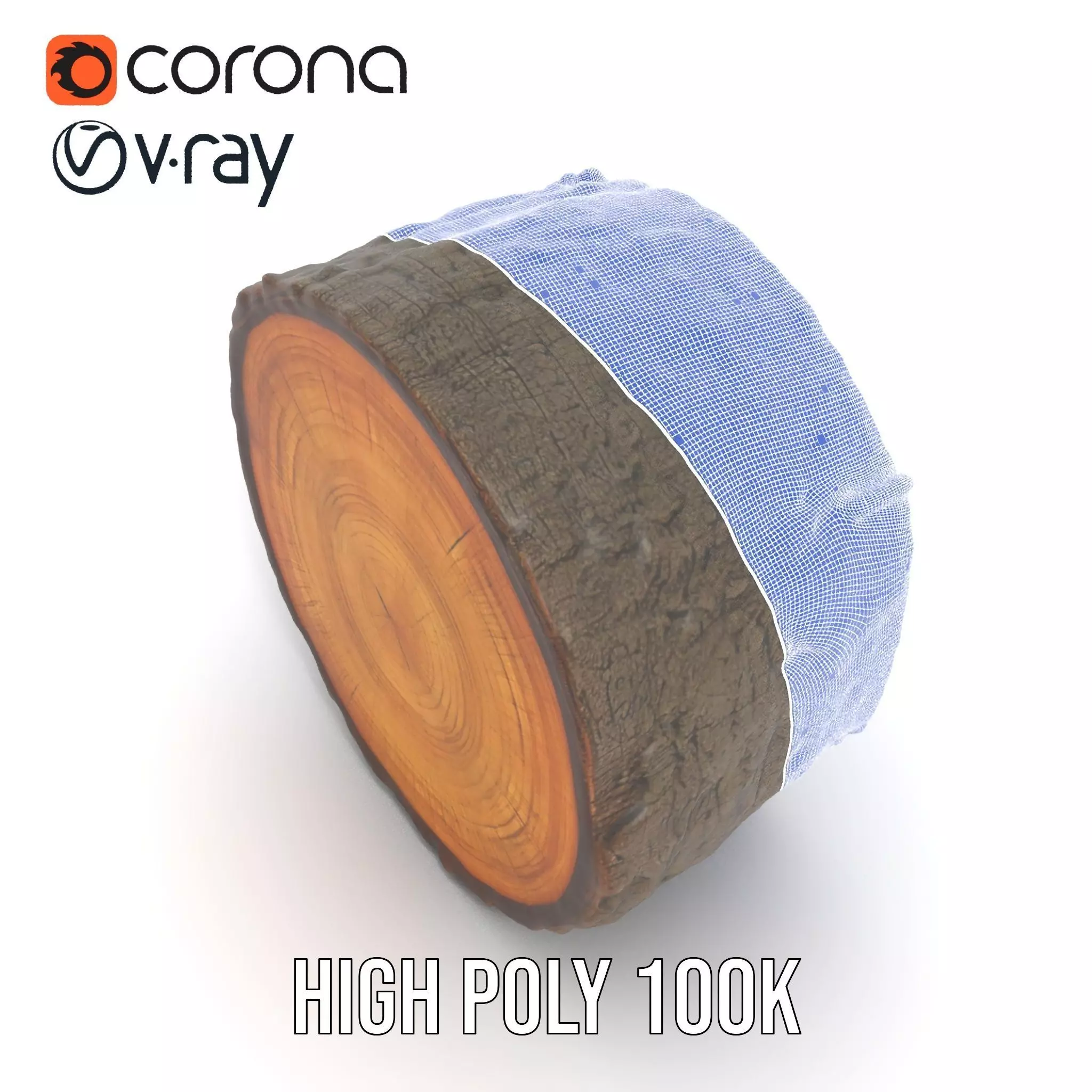Natural Oak Tree Slice model pack Low-poly 3D model_33