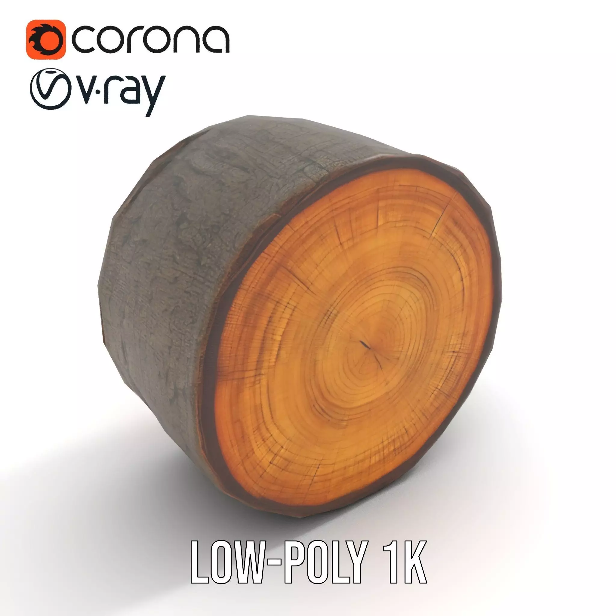 Natural Oak Tree Slice model pack Low-poly 3D model_16