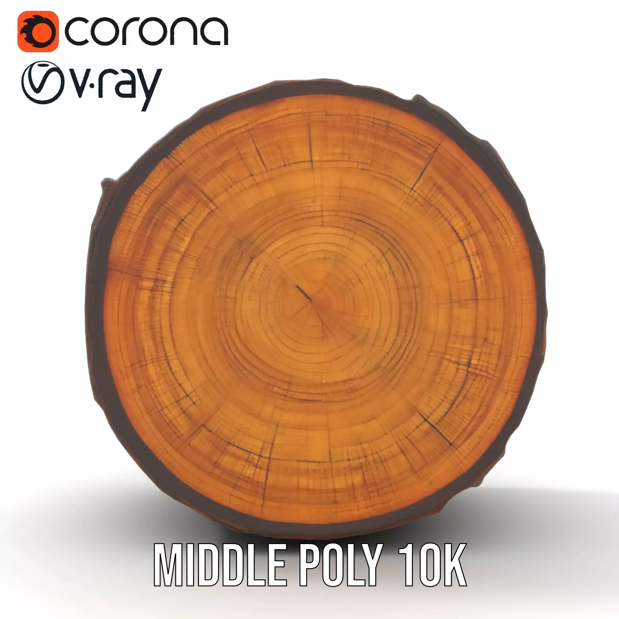 Natural Oak Tree Slice model pack Low-poly 3D model_13