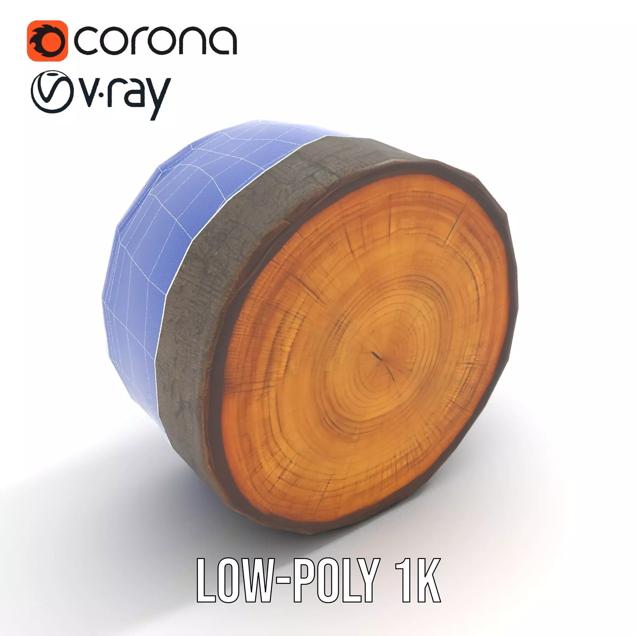 Natural Oak Tree Slice model pack Low-poly 3D model_31
