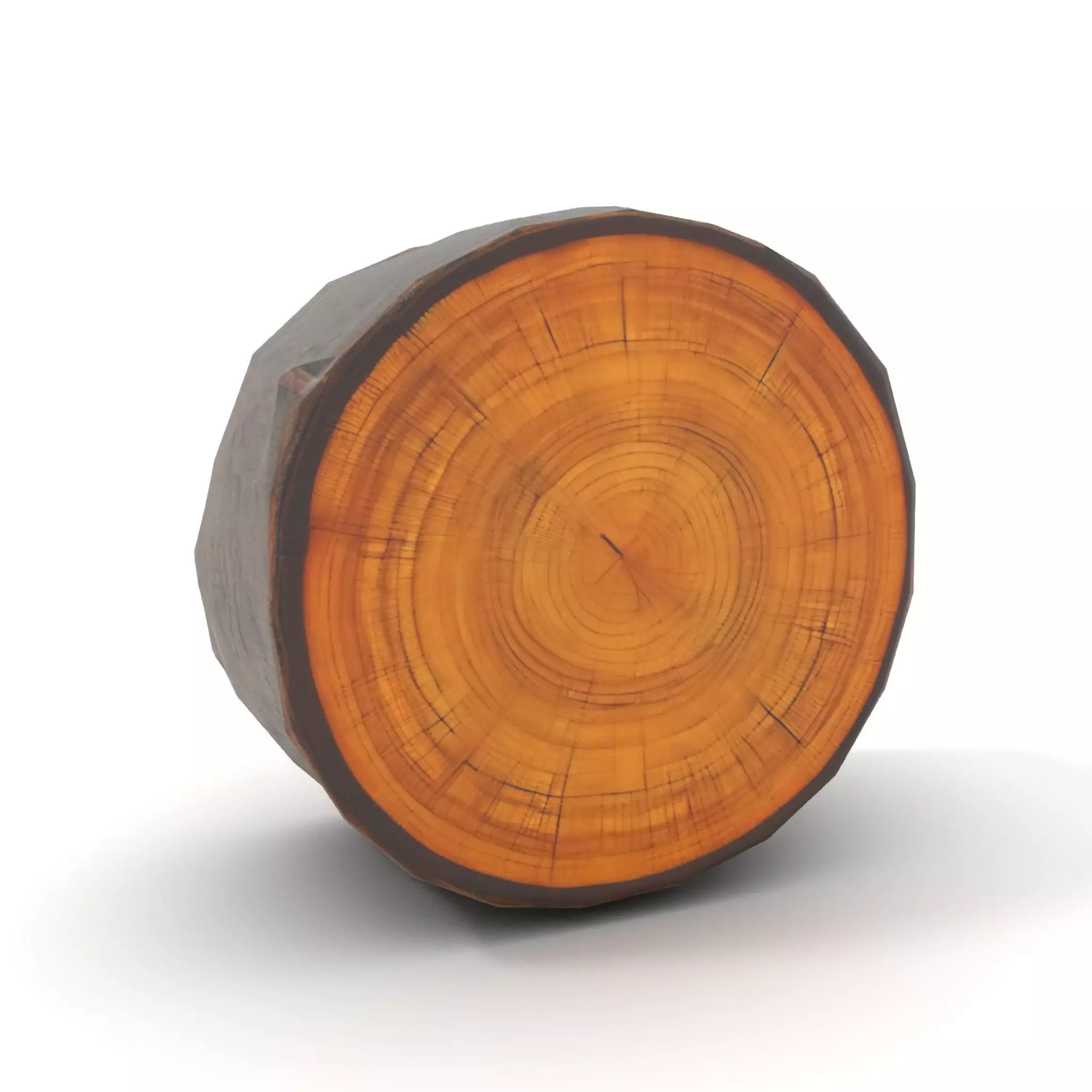 Natural Oak Tree Slice model pack Low-poly 3D model_7