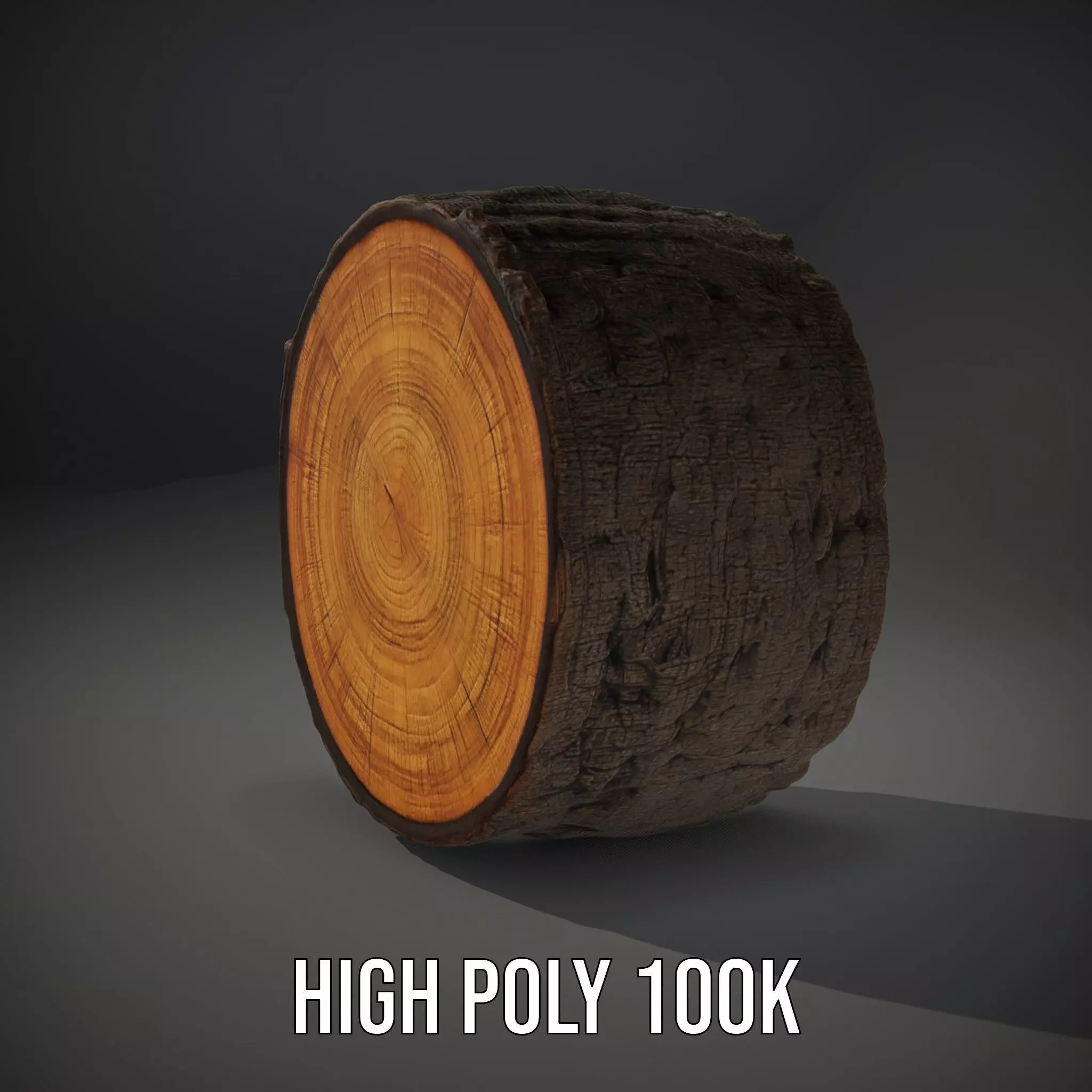 Natural Oak Tree Slice model pack Low-poly 3D model_10