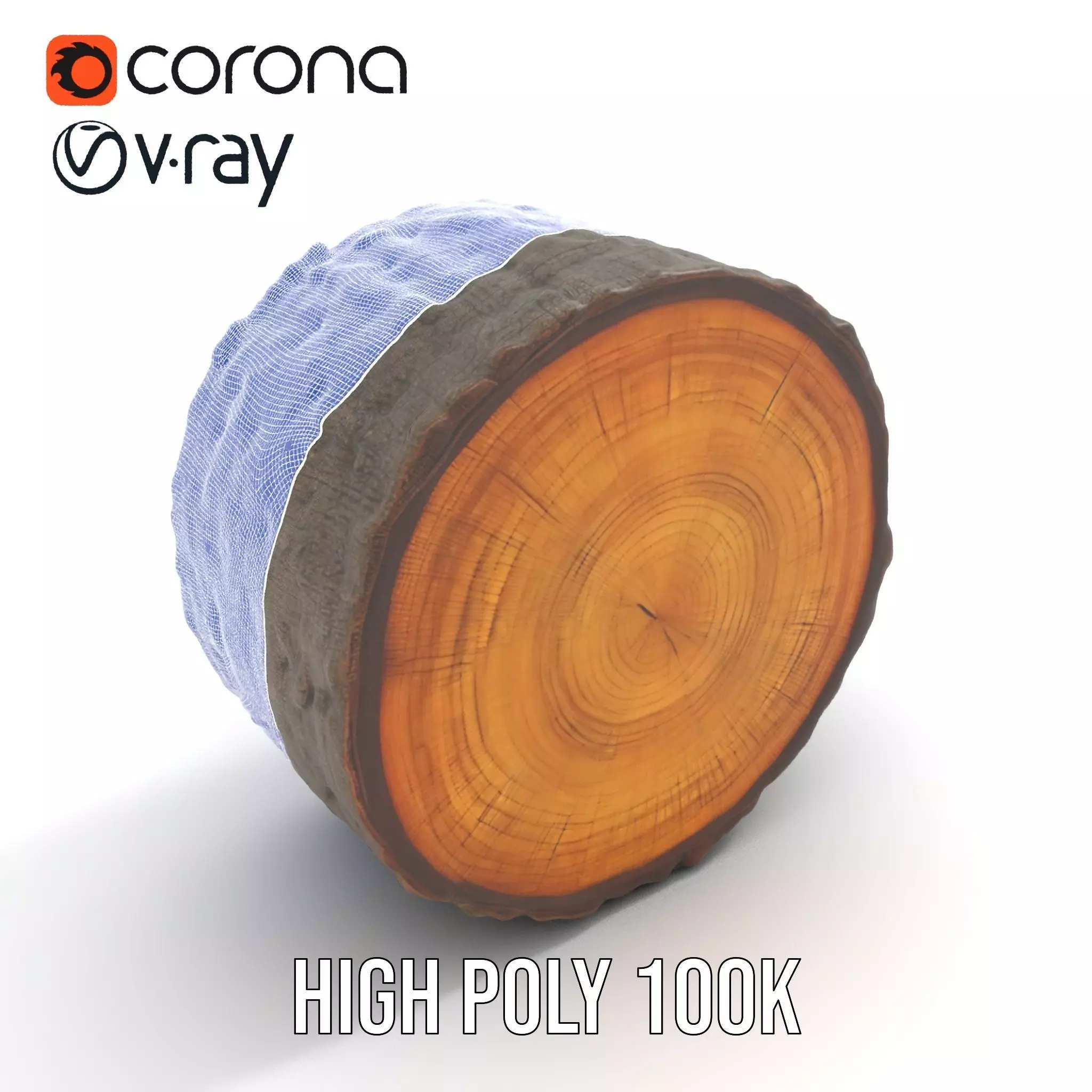 Natural Oak Tree Slice model pack Low-poly 3D model_23