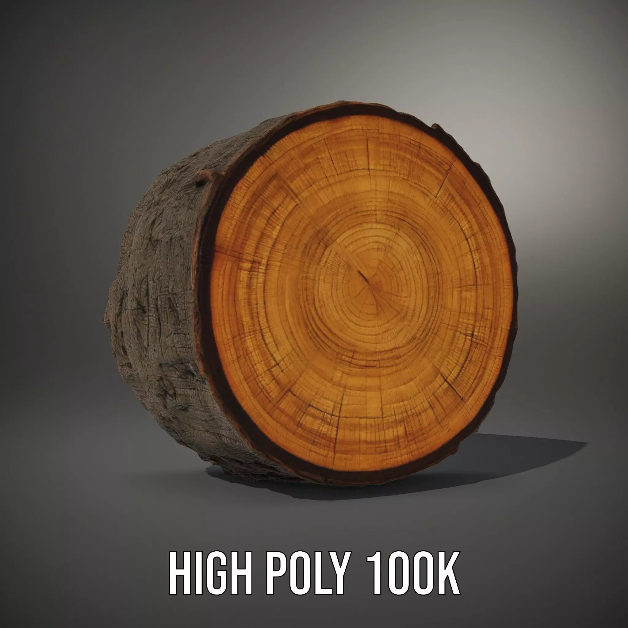 Natural Oak Tree Slice model pack Low-poly 3D model_8
