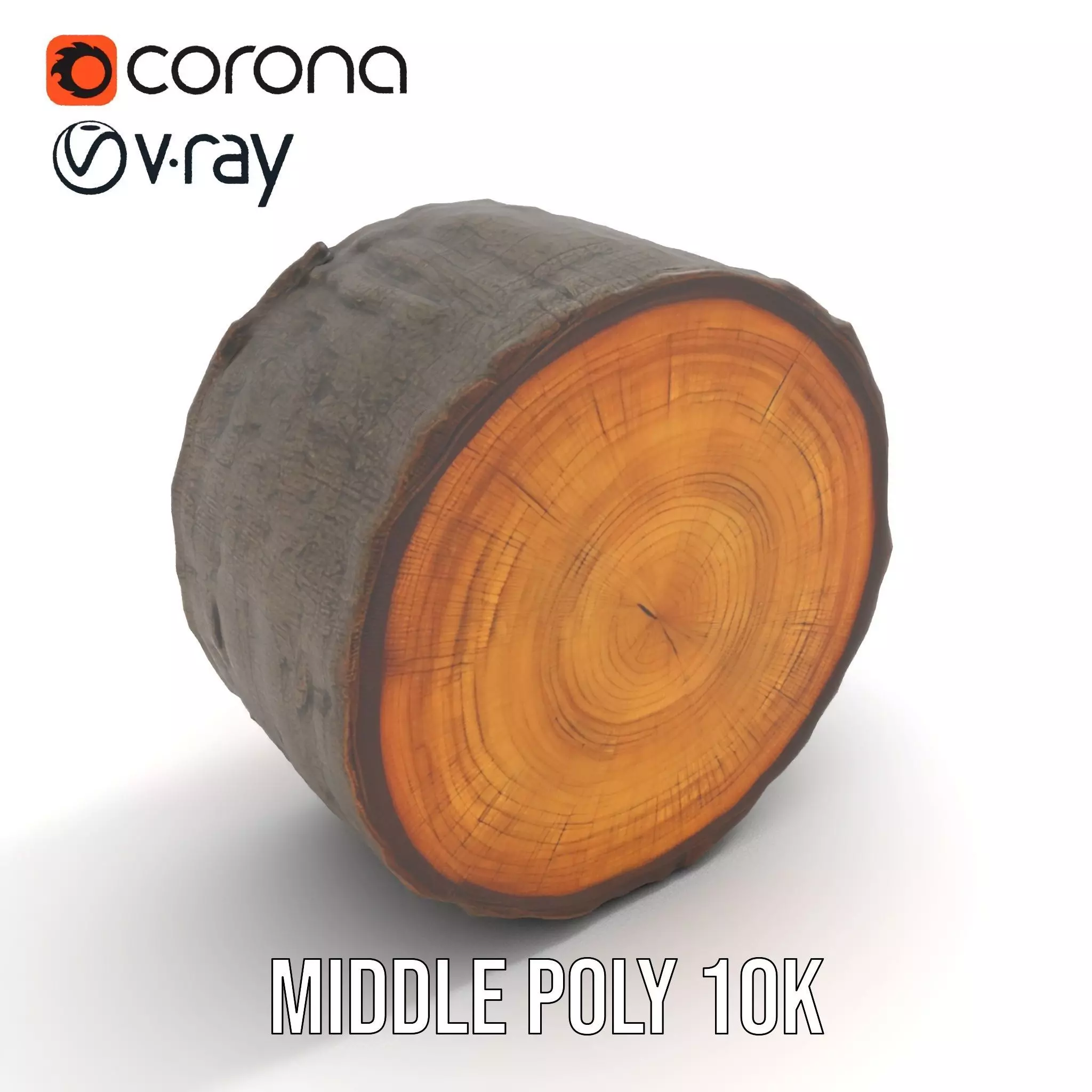 Natural Oak Tree Slice model pack Low-poly 3D model_11