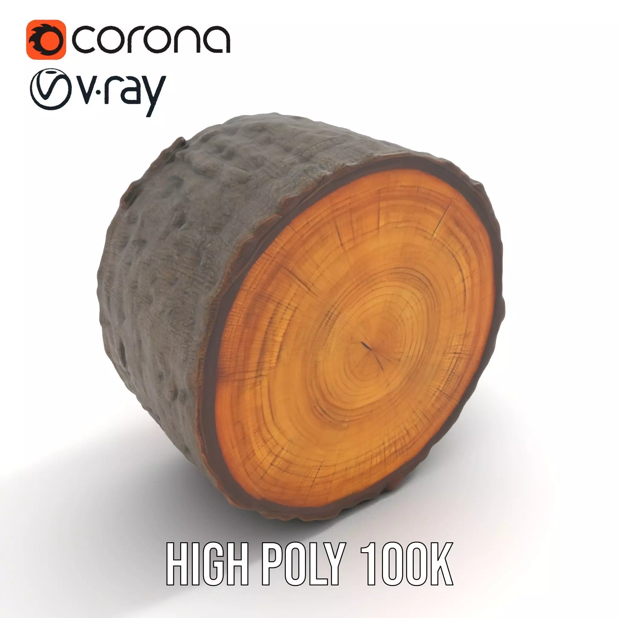 Natural Oak Tree Slice model pack Low-poly 3D model_17