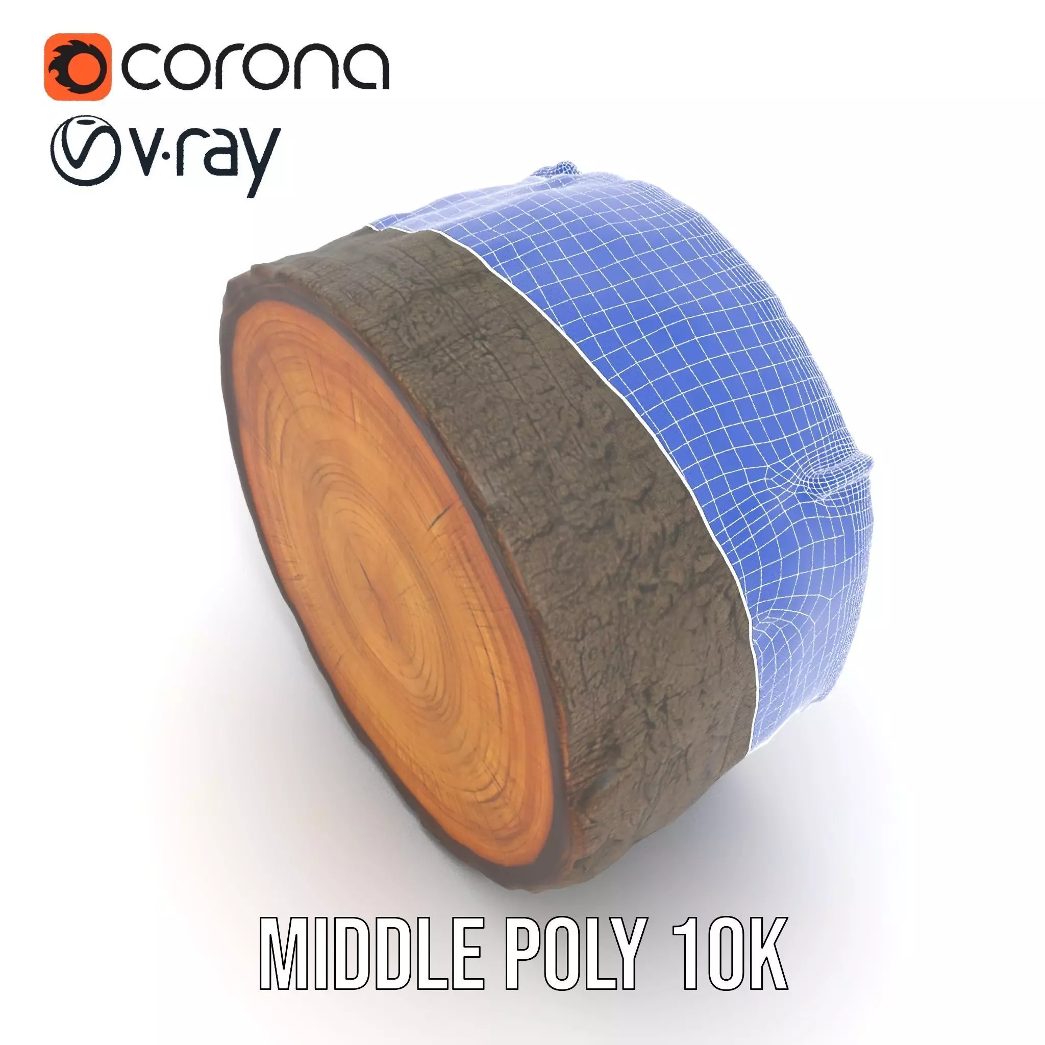 Natural Oak Tree Slice model pack Low-poly 3D model_18