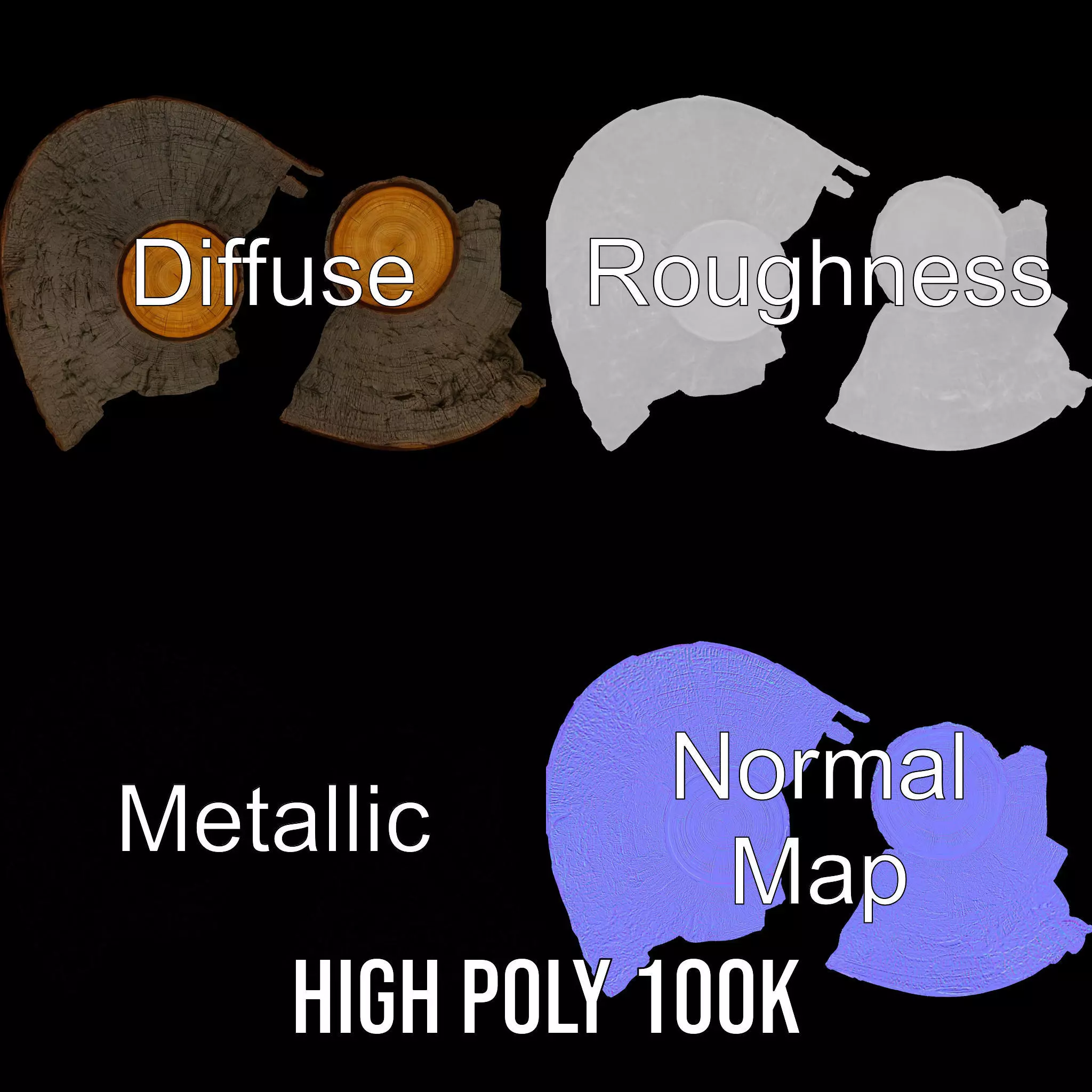 Natural Oak Tree Slice model pack Low-poly 3D model_3