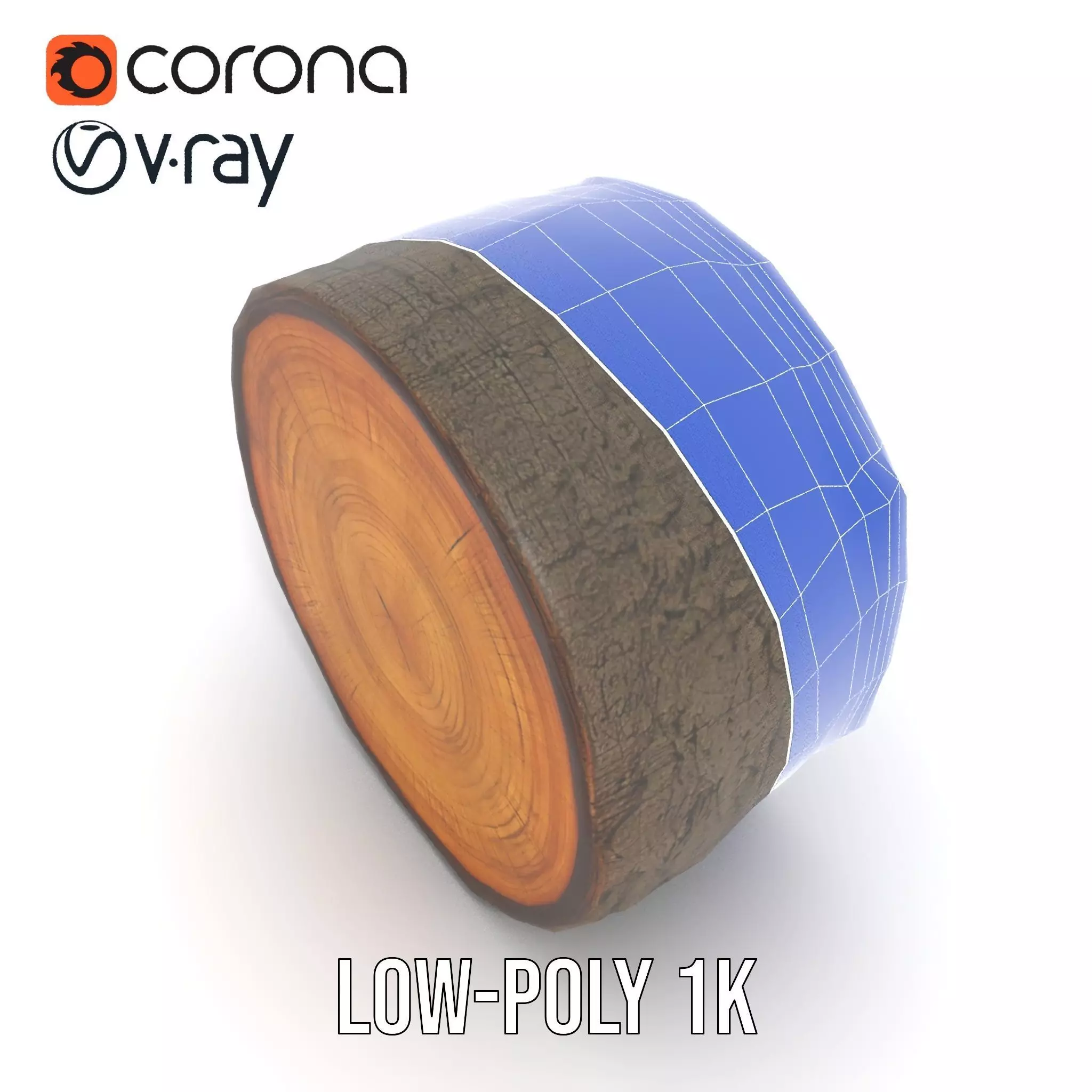 Natural Oak Tree Slice model pack Low-poly 3D model_28