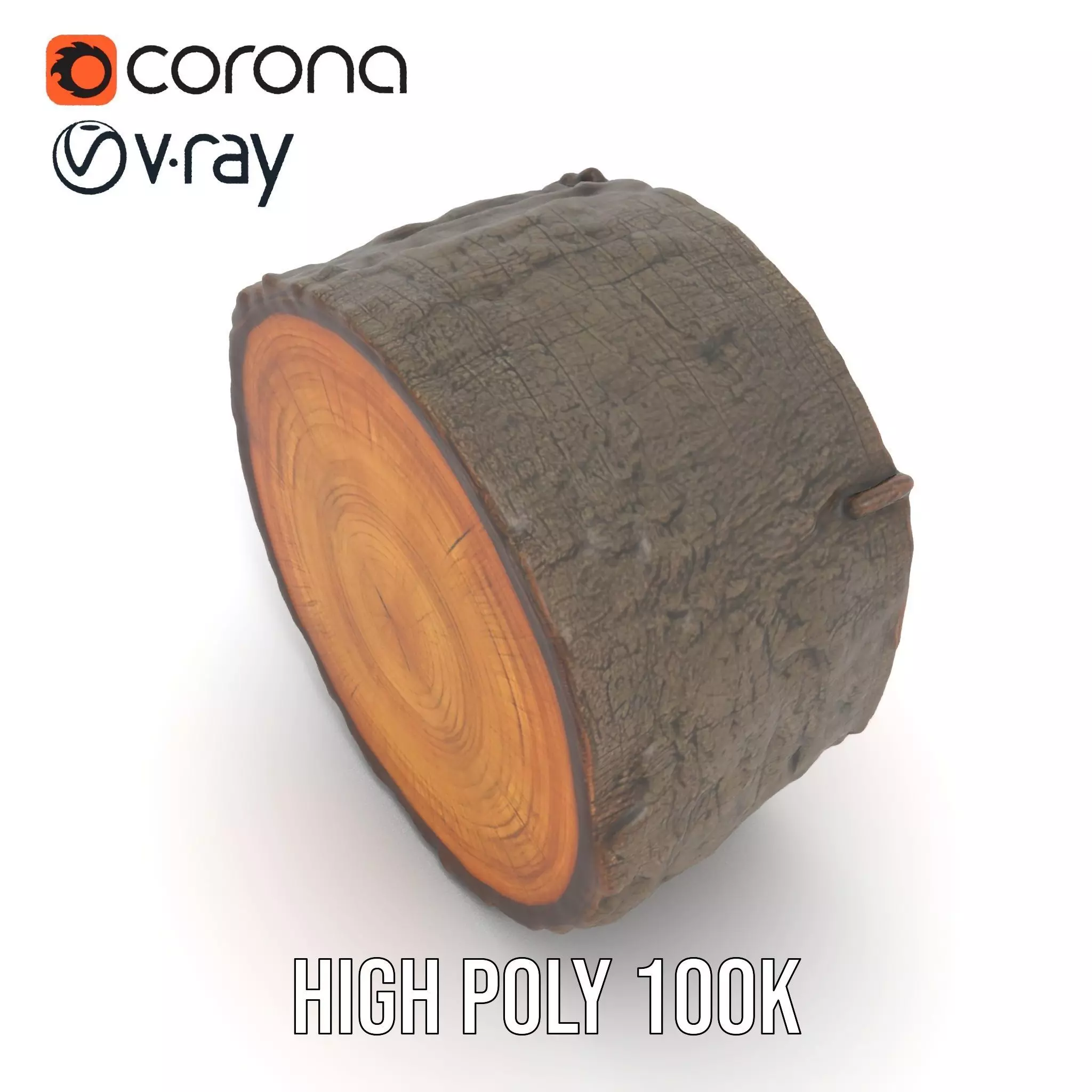 Natural Oak Tree Slice model pack Low-poly 3D model_20