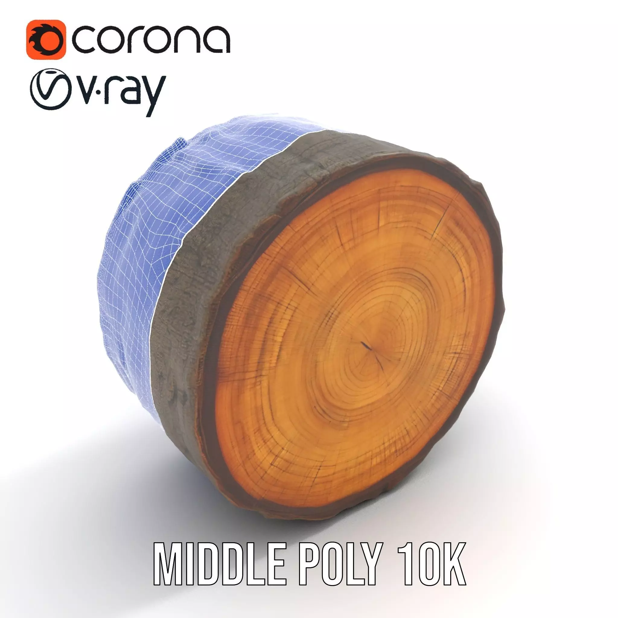 Natural Oak Tree Slice model pack Low-poly 3D model_24