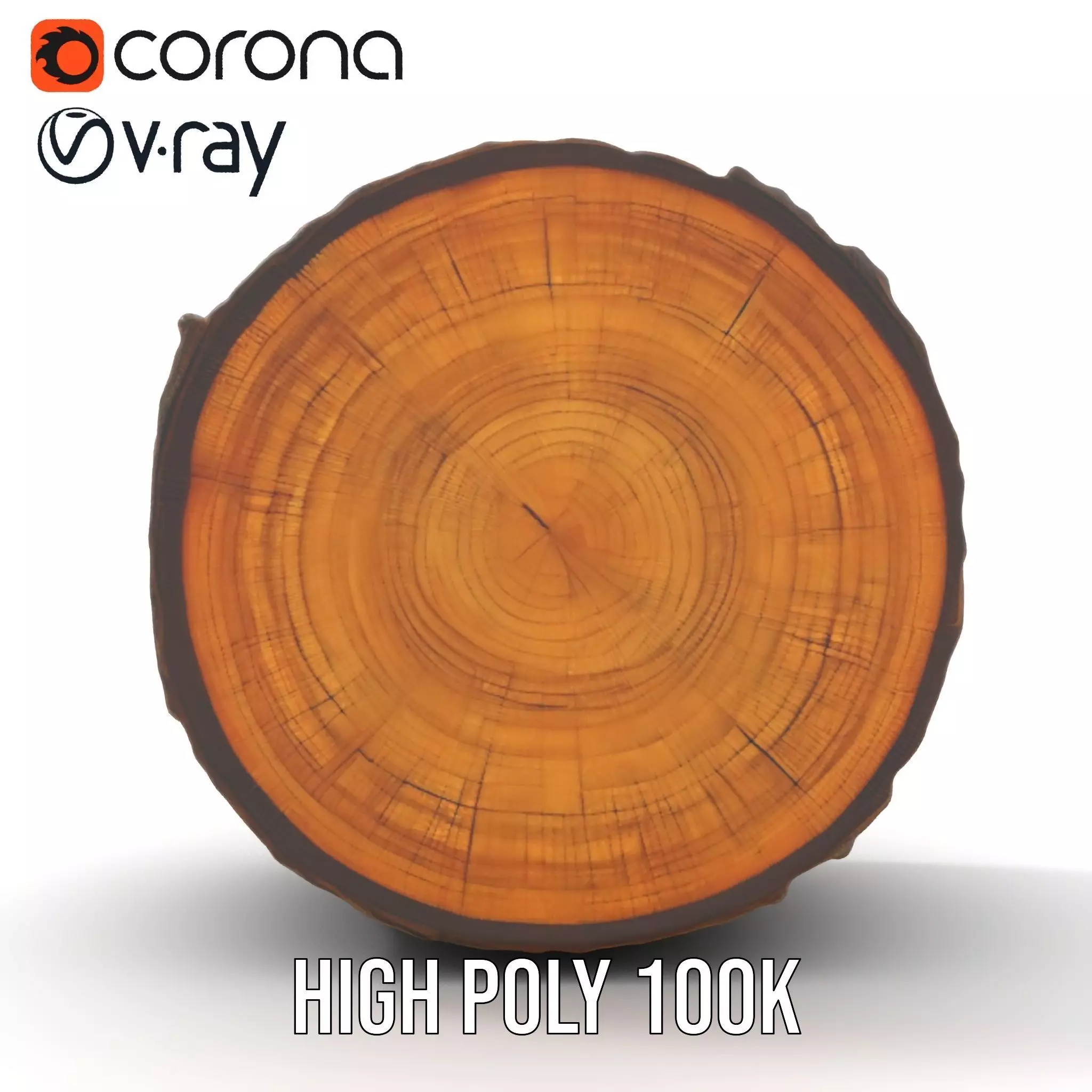 Natural Oak Tree Slice model pack Low-poly 3D model_26