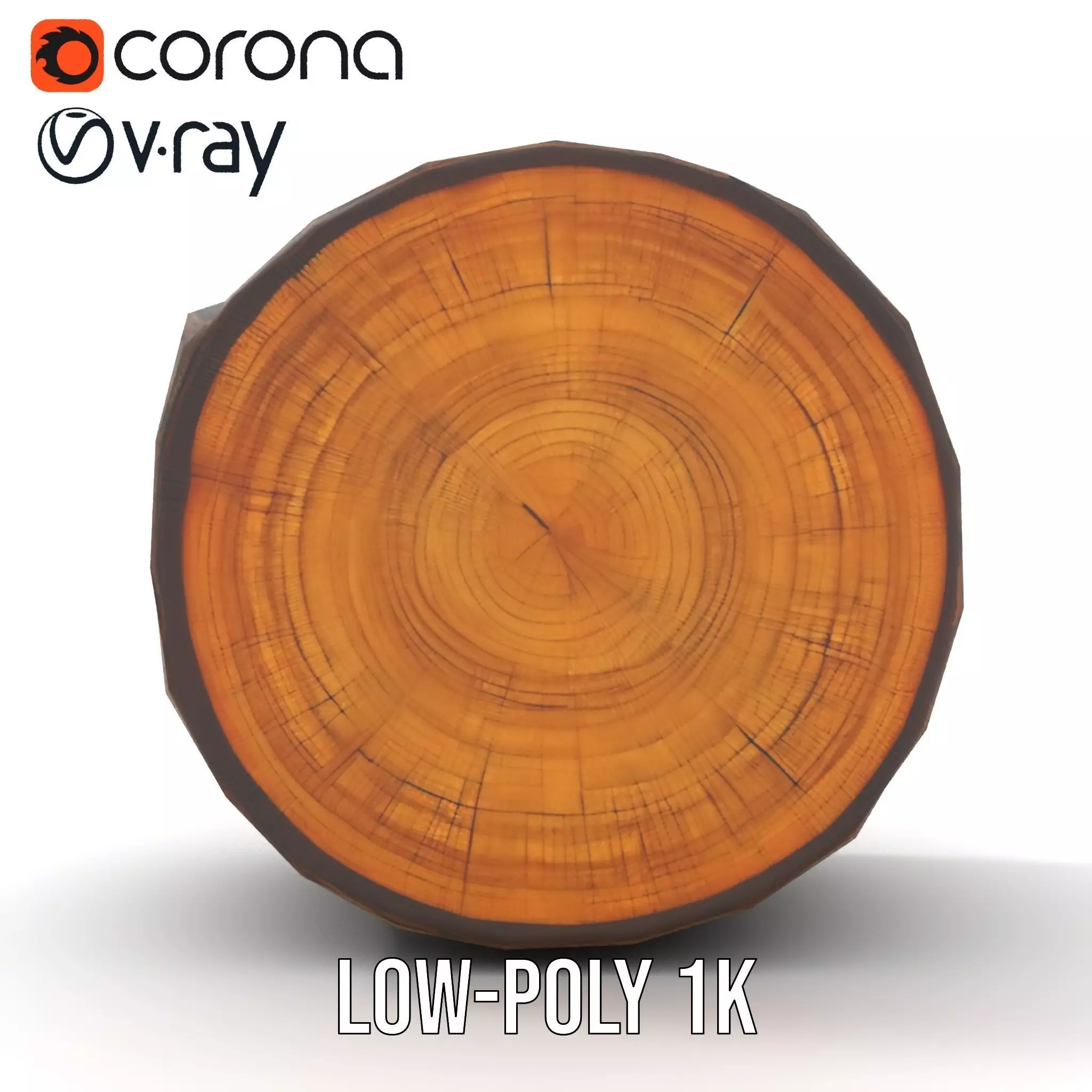 Natural Oak Tree Slice model pack Low-poly 3D model_12