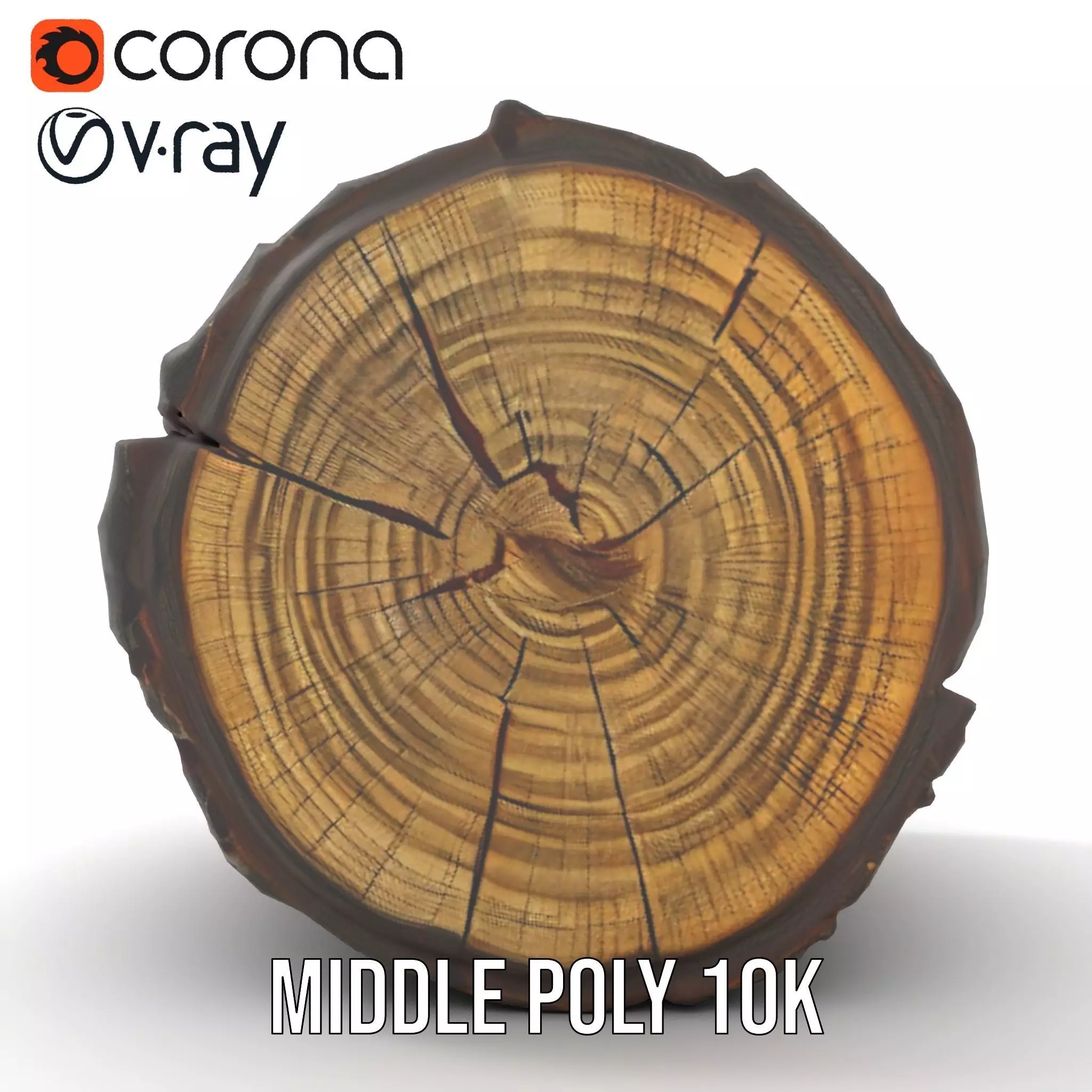 Rustic Tree Trunk model pack Low-poly 3D model_11