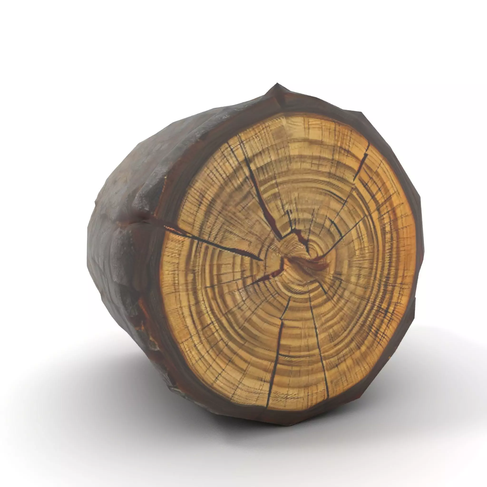 Rustic Tree Trunk model pack Low-poly 3D model_7