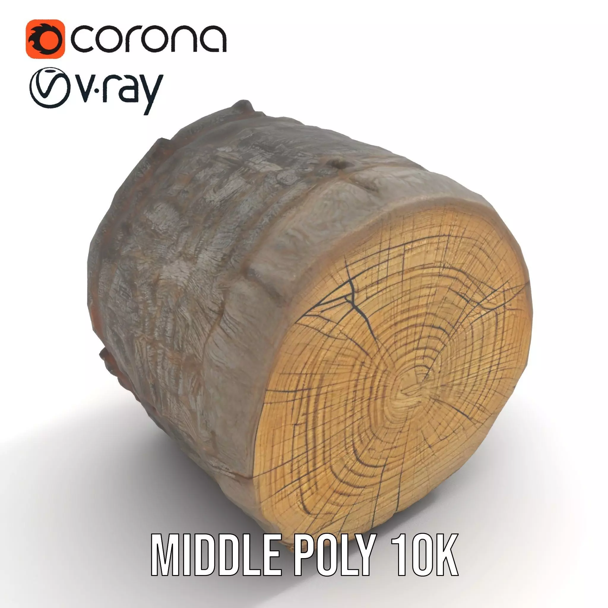 Rustic Tree Trunk model pack Low-poly 3D model_13