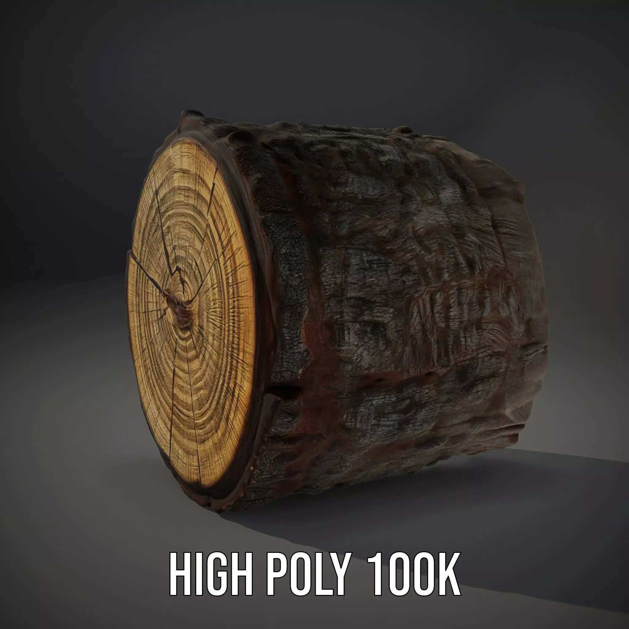 Rustic Tree Trunk model pack Low-poly 3D model_10