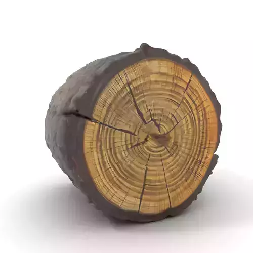 Rustic Tree Trunk model pack Low-poly 3D model