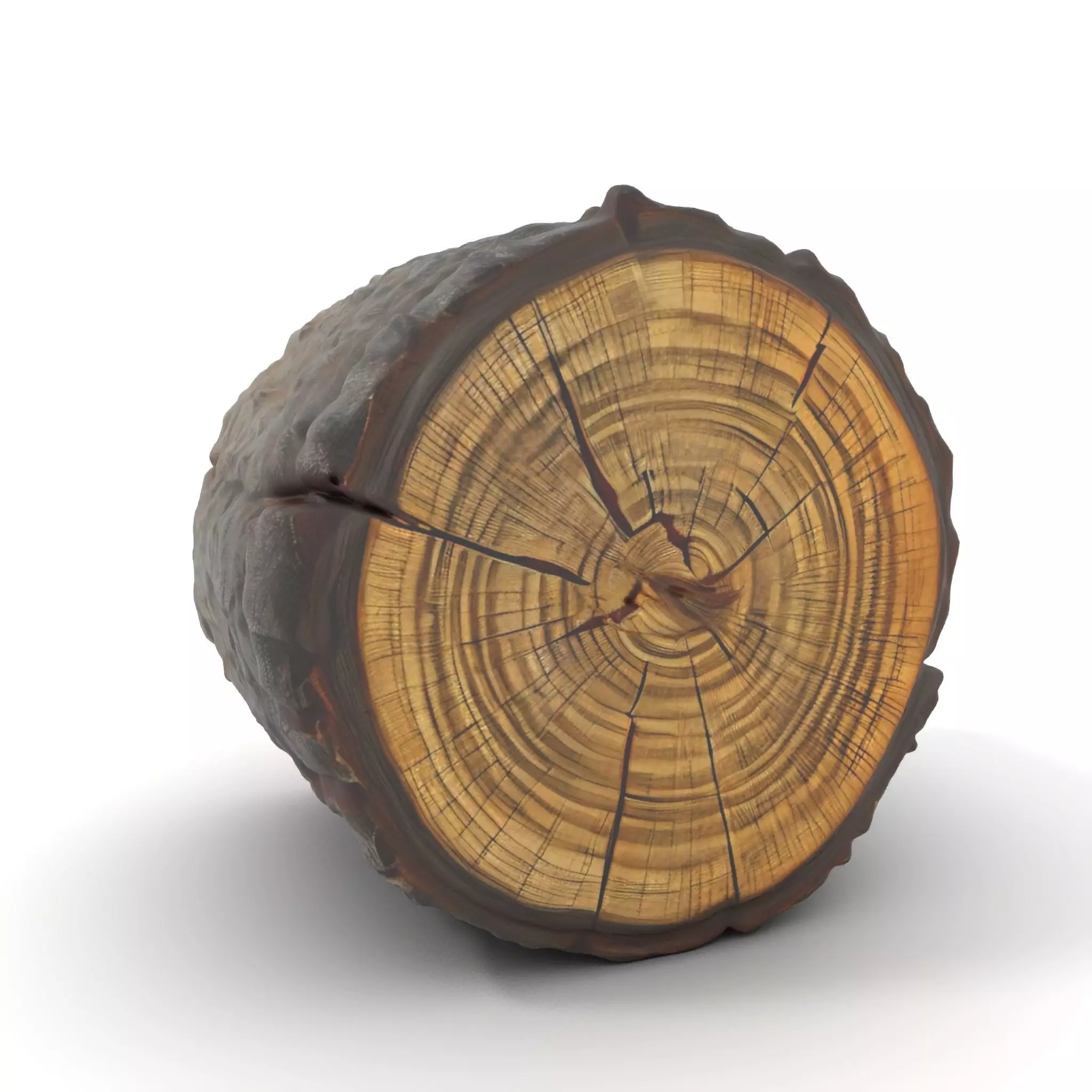 Rustic Tree Trunk model pack Low-poly 3D model_0