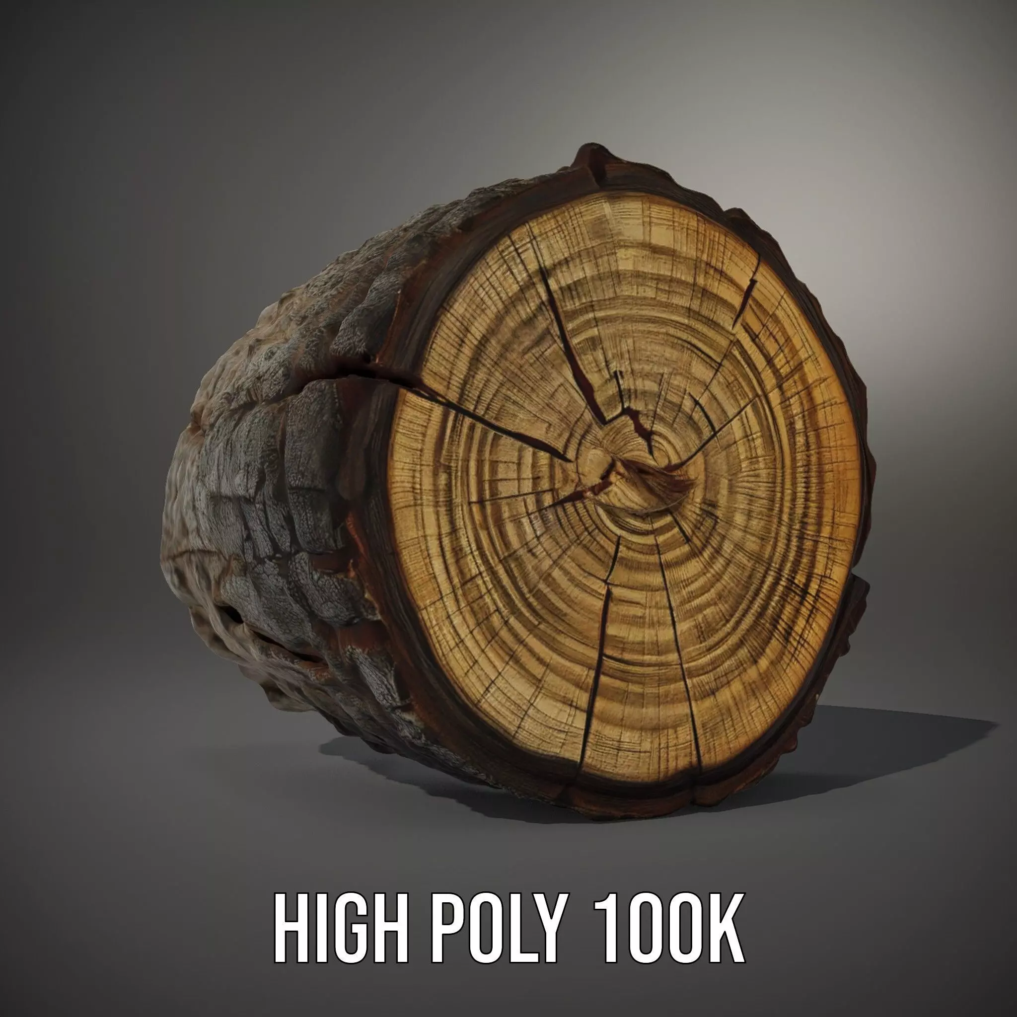 Rustic Tree Trunk model pack Low-poly 3D model_8