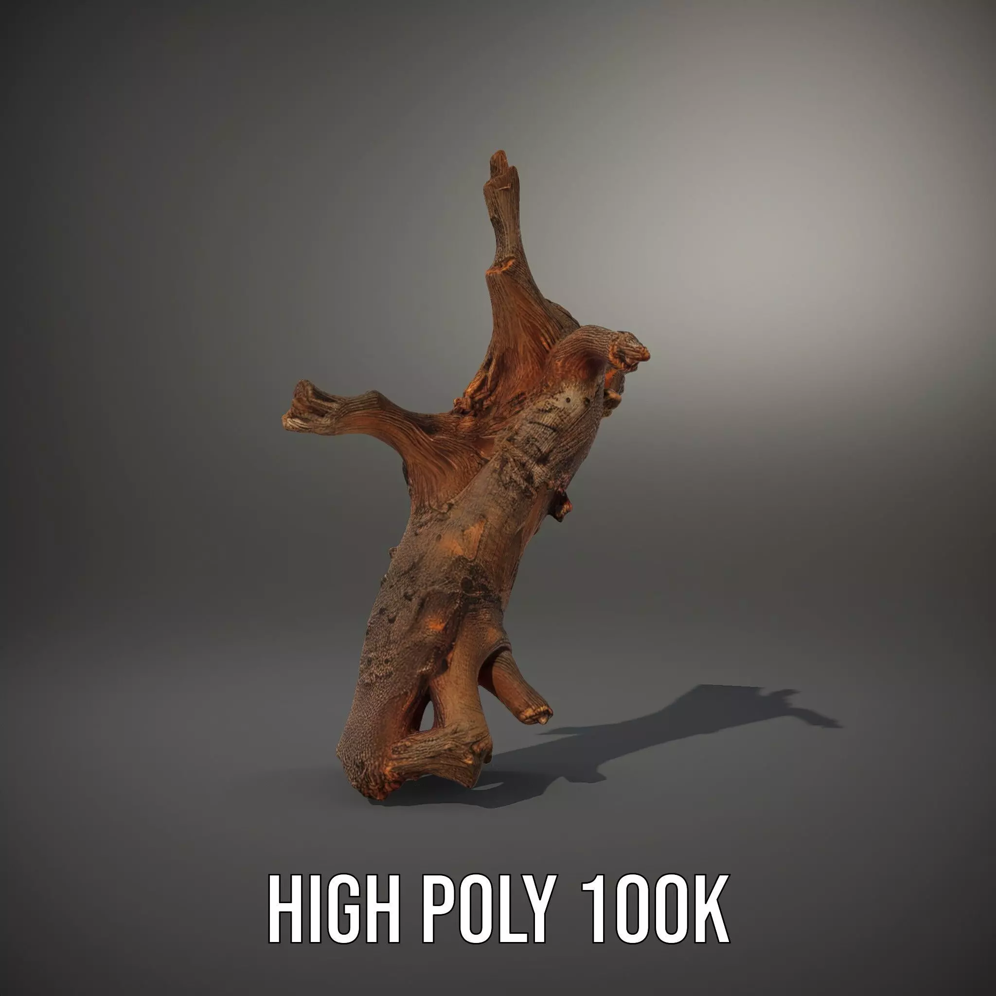 Rustic Tree Branch model pack Low-poly 3D model_8