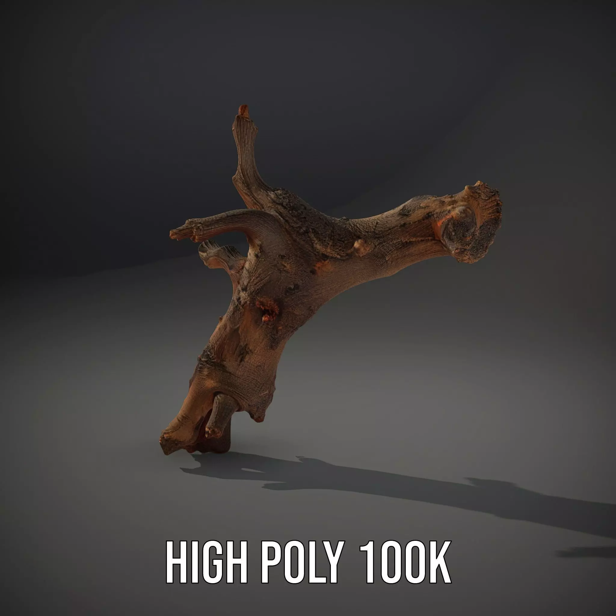 Rustic Tree Branch model pack Low-poly 3D model_10