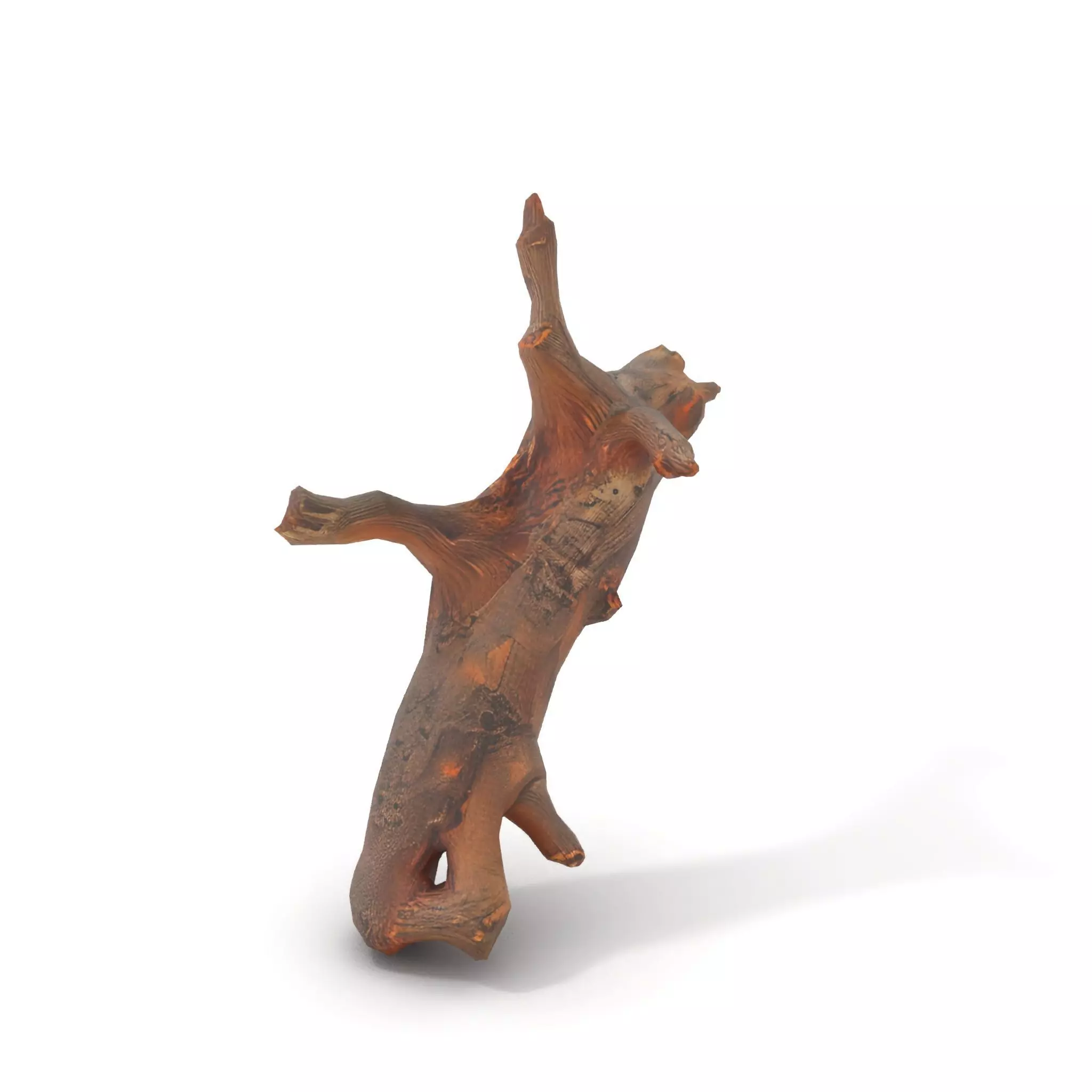 Rustic Tree Branch model pack Low-poly 3D model_7