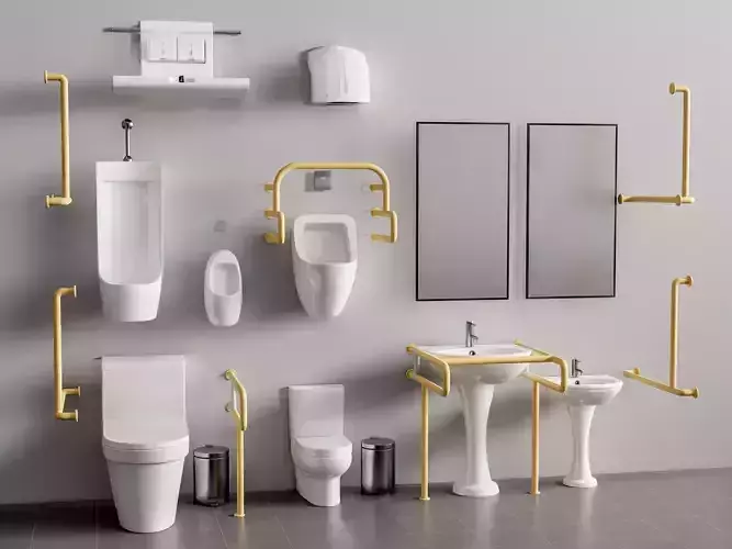 Modern accessible toilet