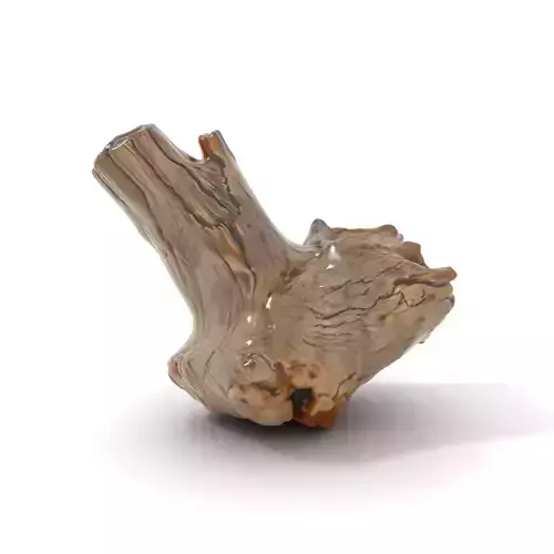 Weathered Driftwood model pack Low-poly 3D model