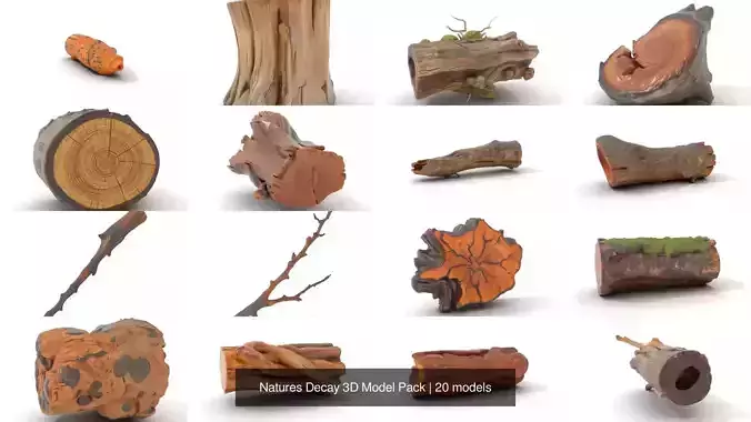 Natures Decay 3D Model Pack 3D Model Collection