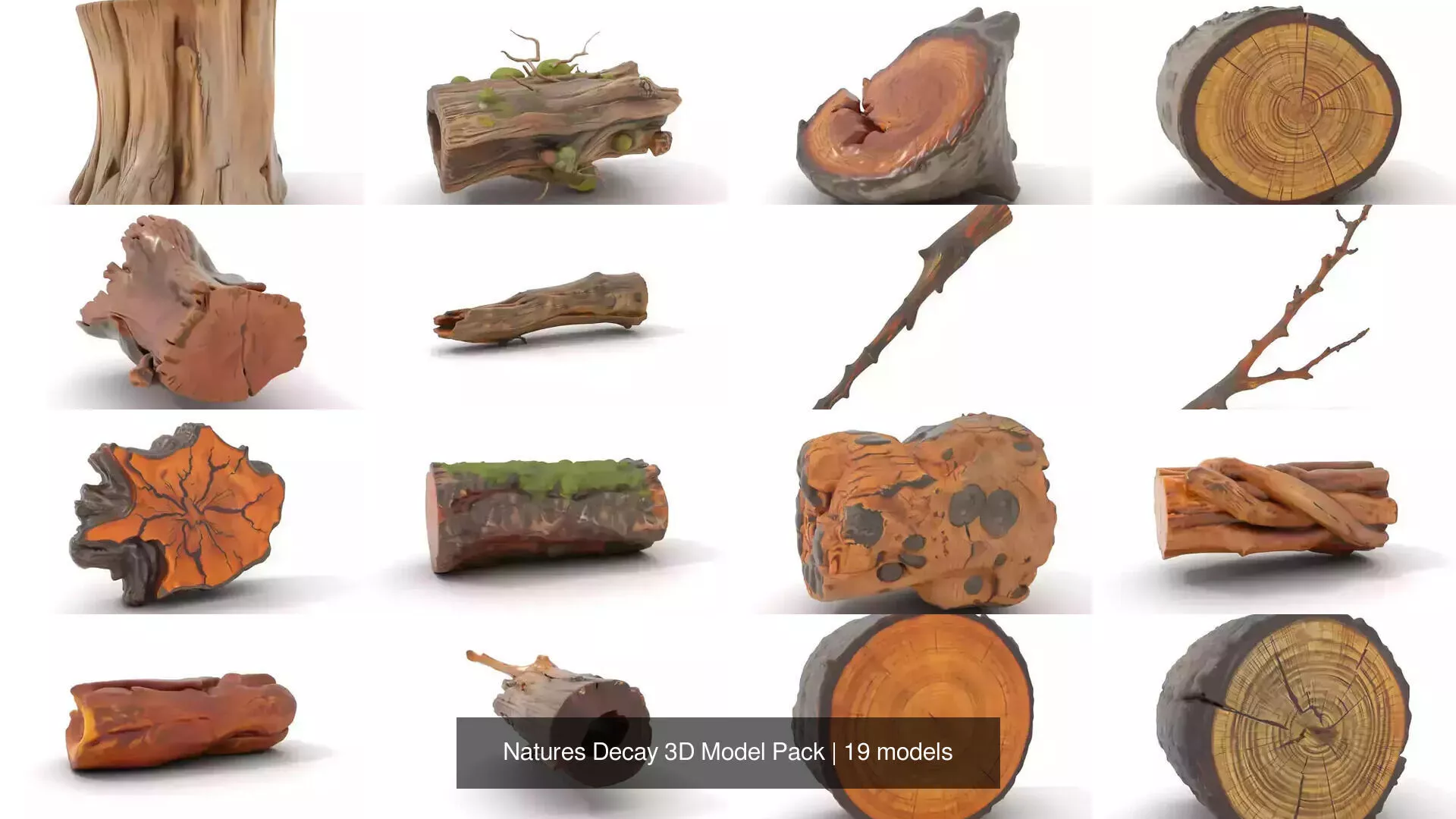 Natures Decay 3D Model Pack