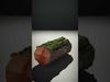 Natures Decay 3D Model Pack 3D Model Collection_15
