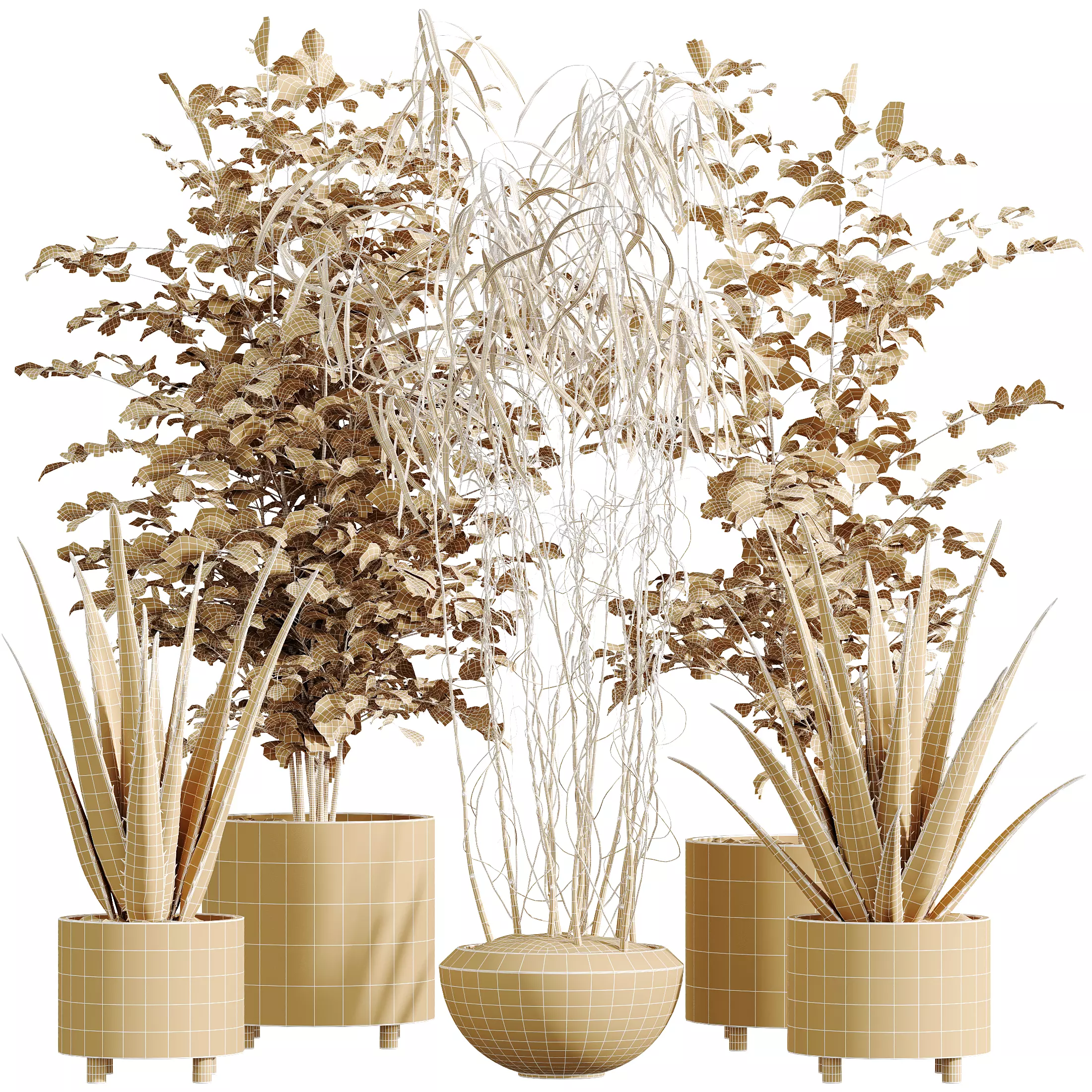 AV Indoor Plants Set 331 Ficus Alnus Alder Aloe Vera 3D model_7