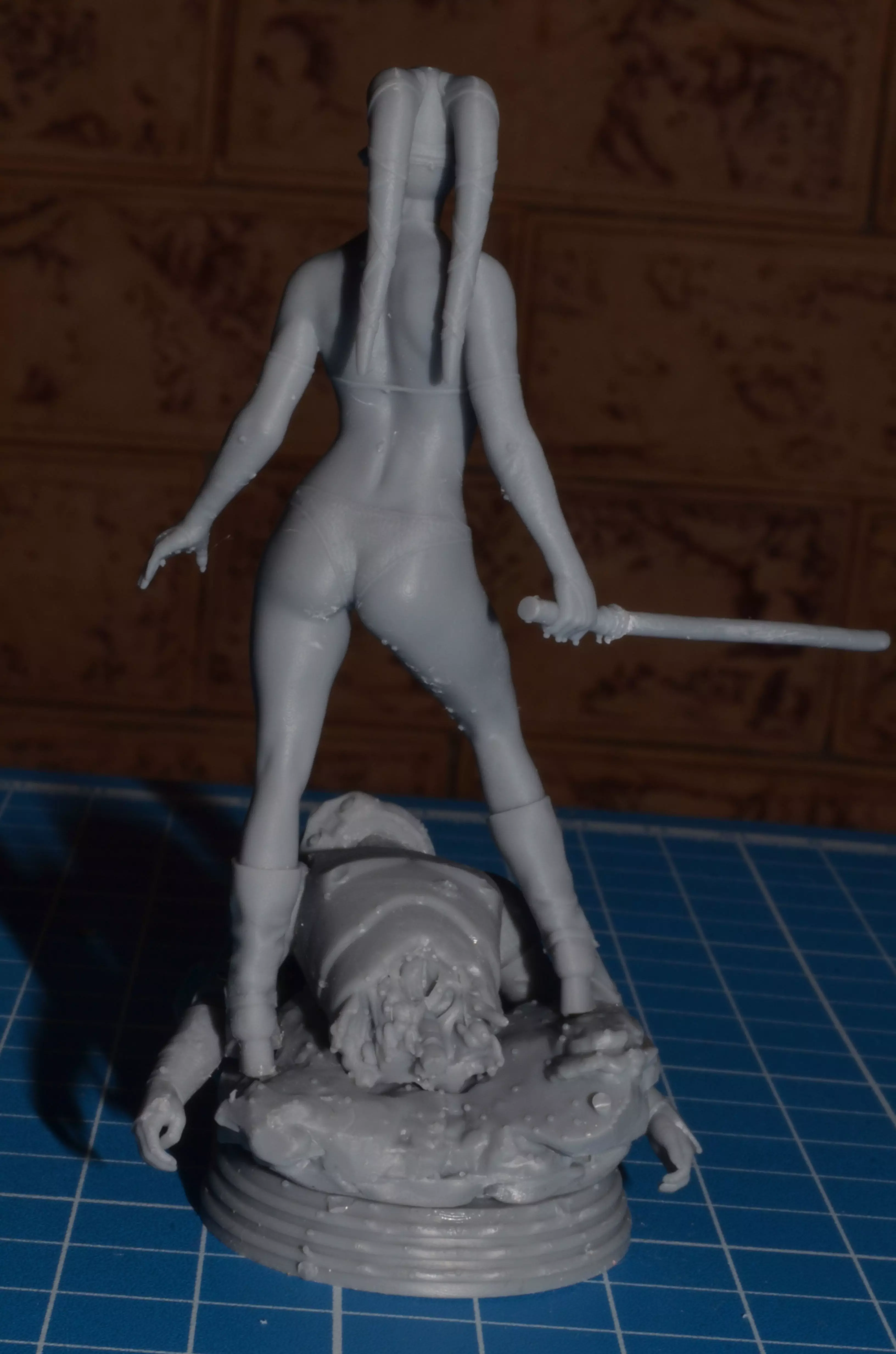 Aayla Secura 3D print model_2