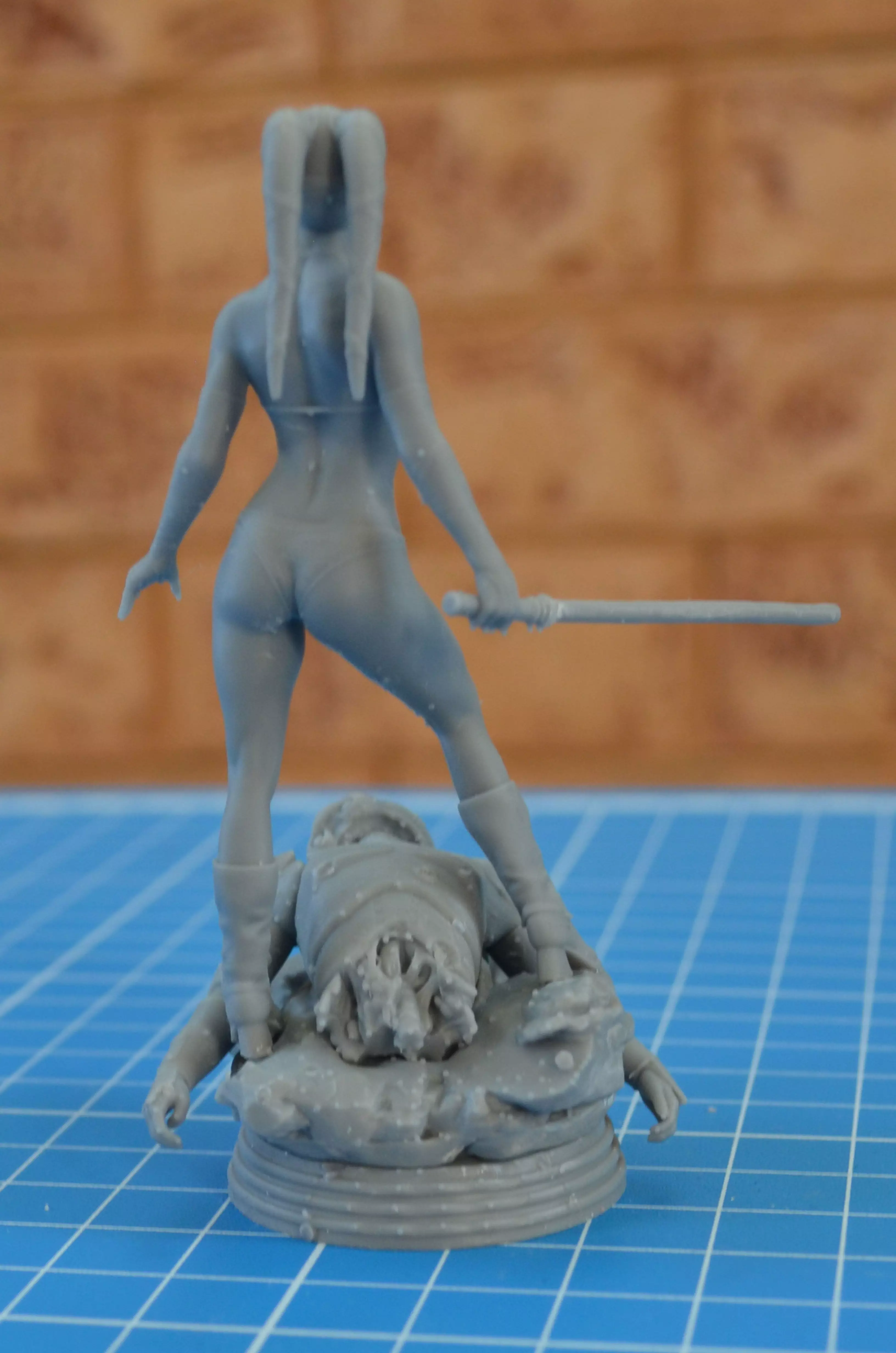 Aayla Secura 3D print model_4