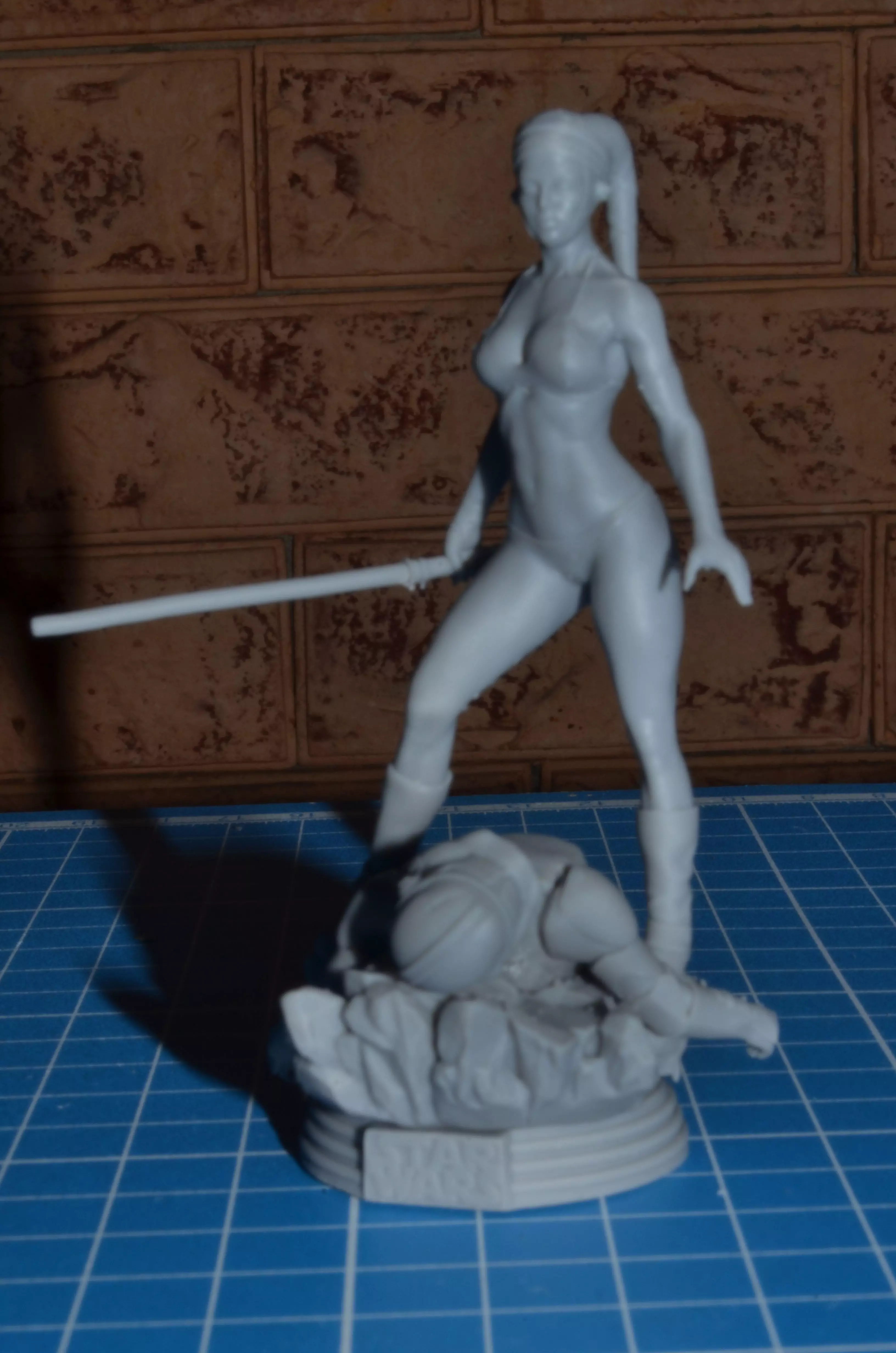 Aayla Secura 3D print model_3