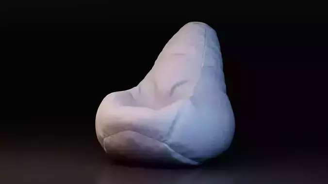 Bean Bag Chair