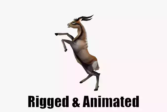 Animated Gazelle Antelope Springbok Low-poly 3D model