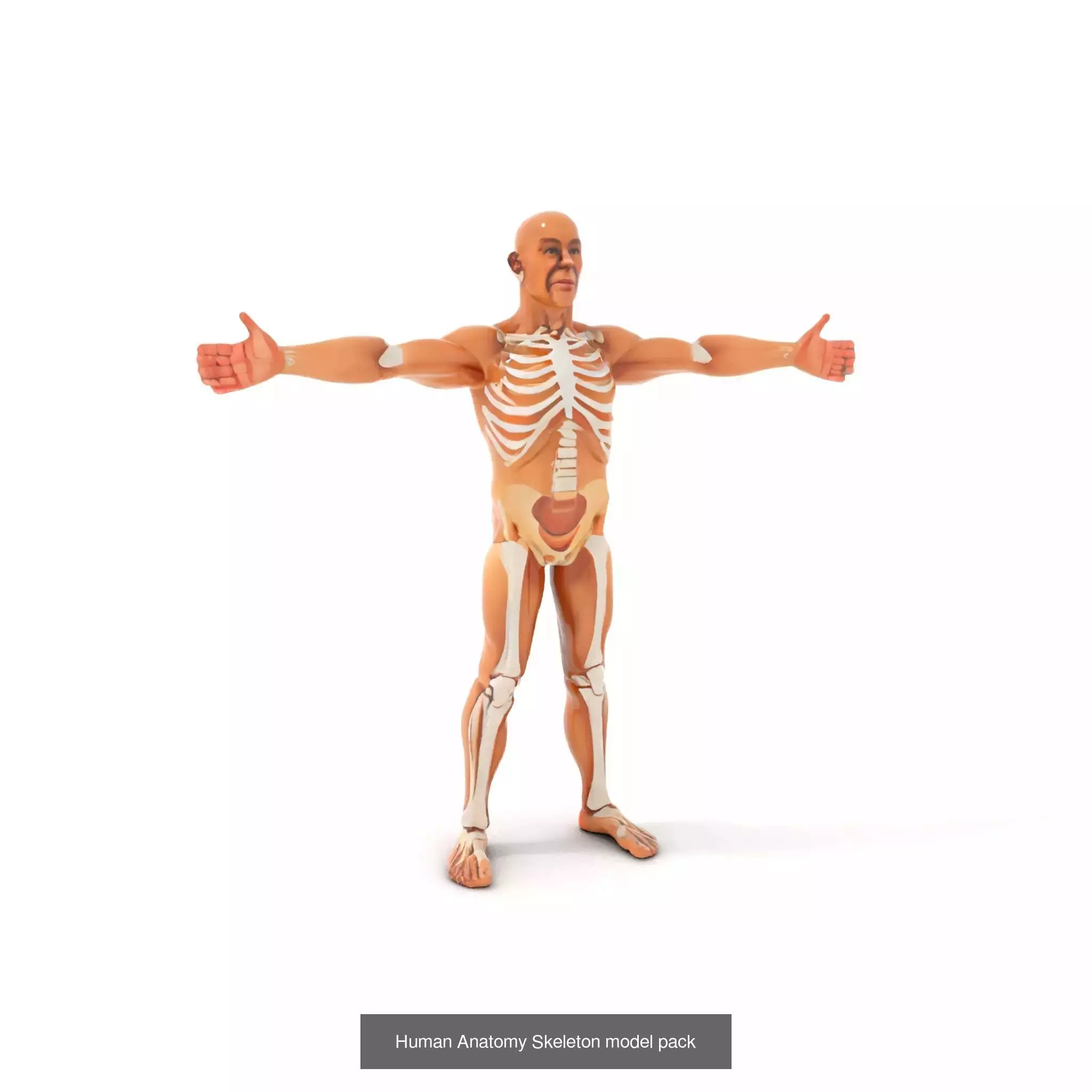 Diverse PlusSize 3D Models Pack 3D Model Collection_71