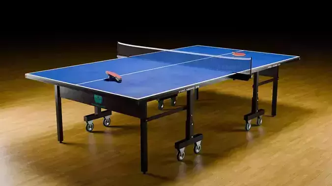 Ping Pong Table