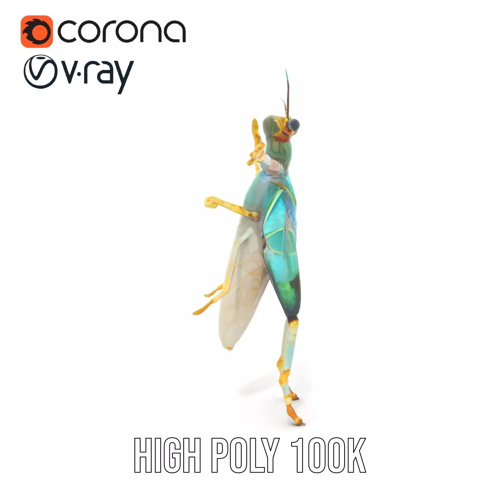 Iridescent Mantis model pack Low-poly 3D model_32