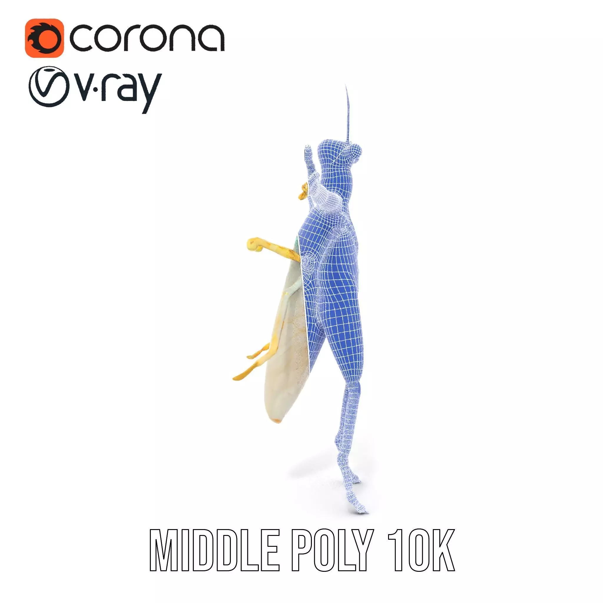 Iridescent Mantis model pack Low-poly 3D model_30