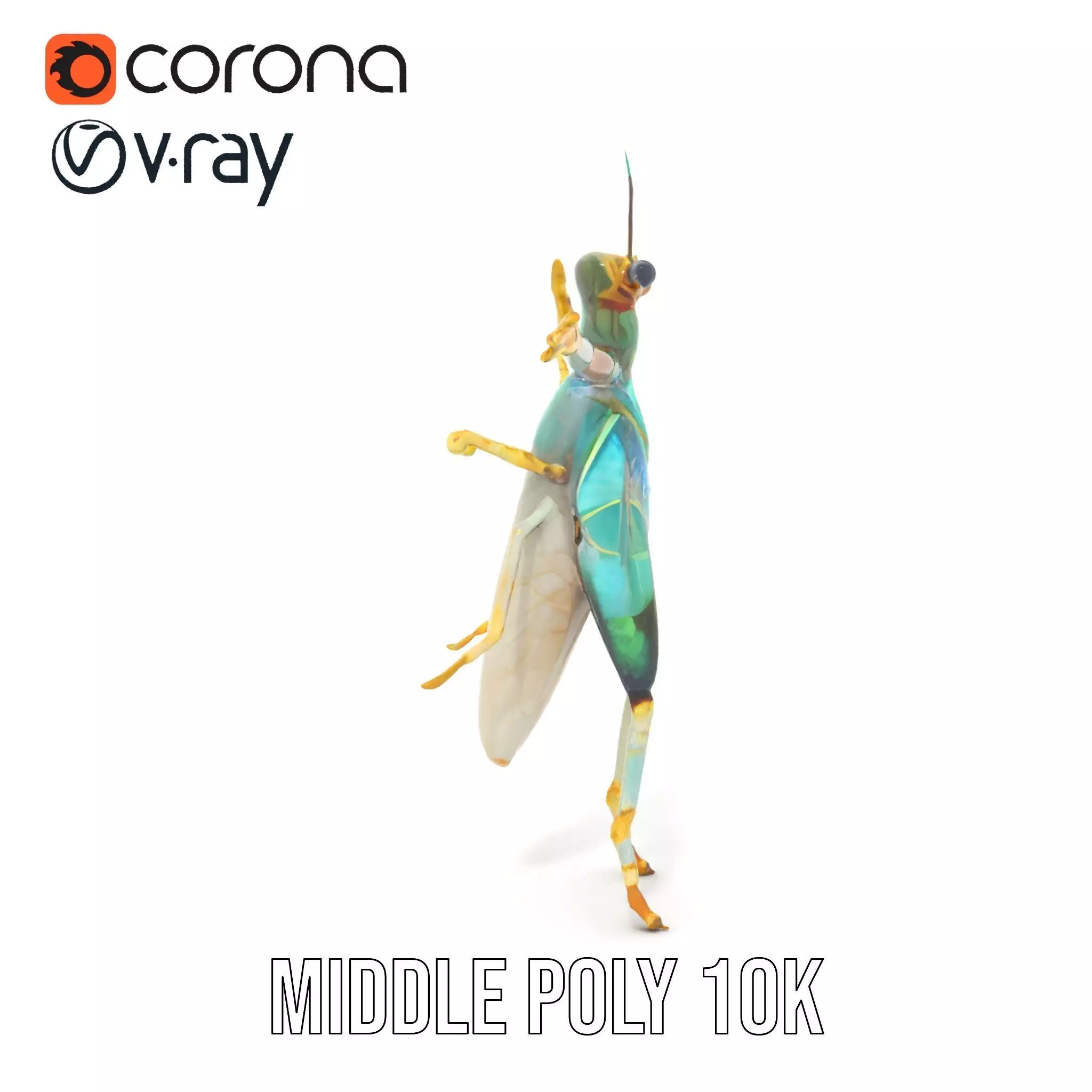 Iridescent Mantis model pack Low-poly 3D model_16