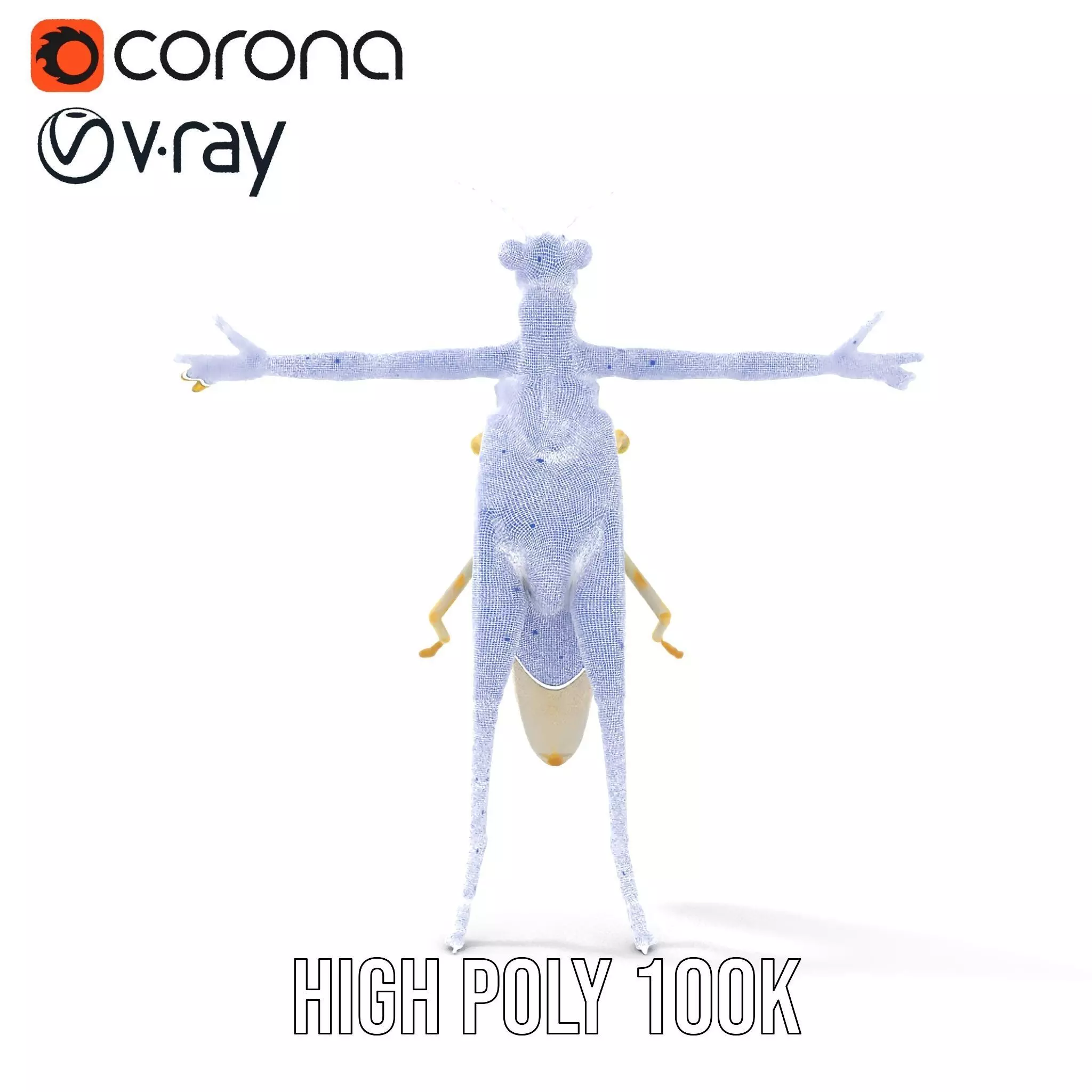 Iridescent Mantis model pack Low-poly 3D model_33