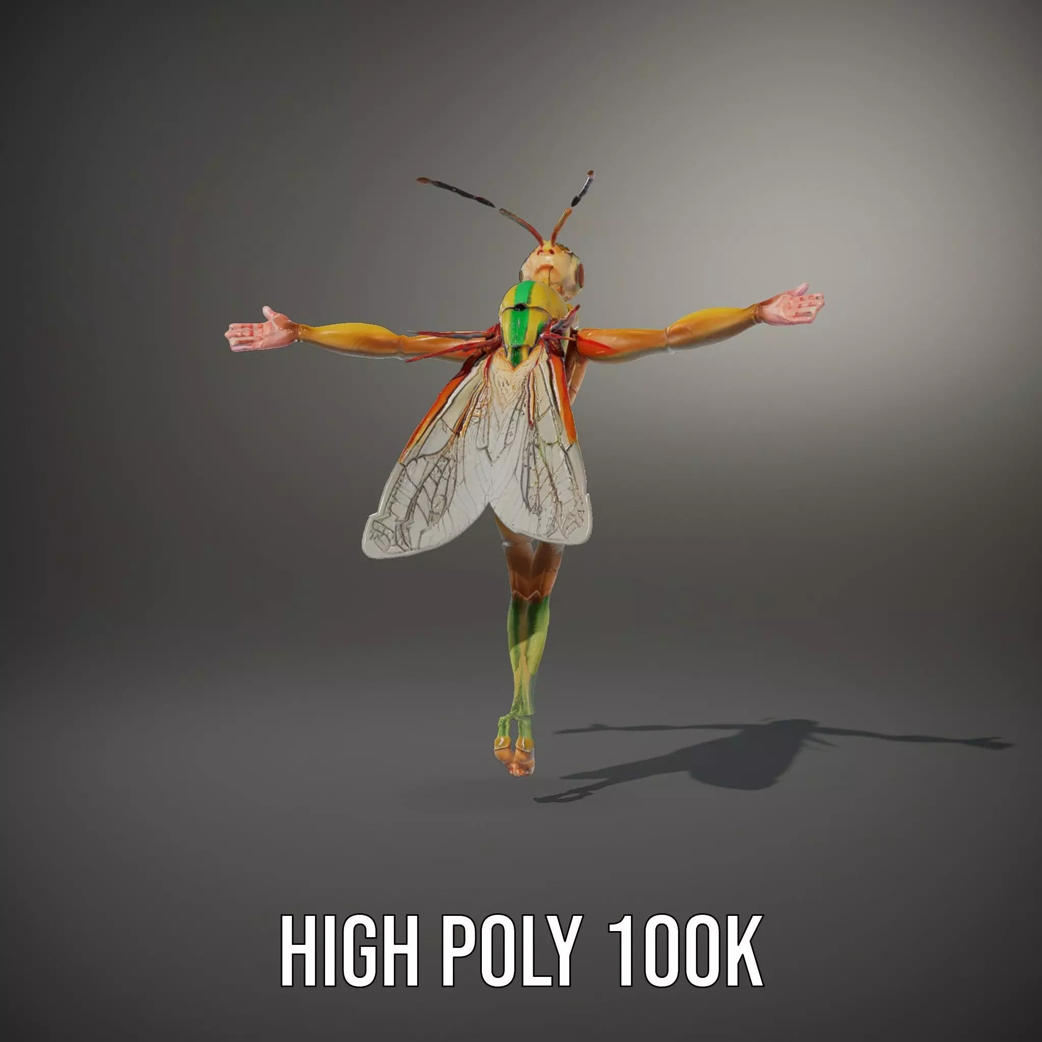 Vivid Insectoid Hybrid model pack Low-poly 3D model_10