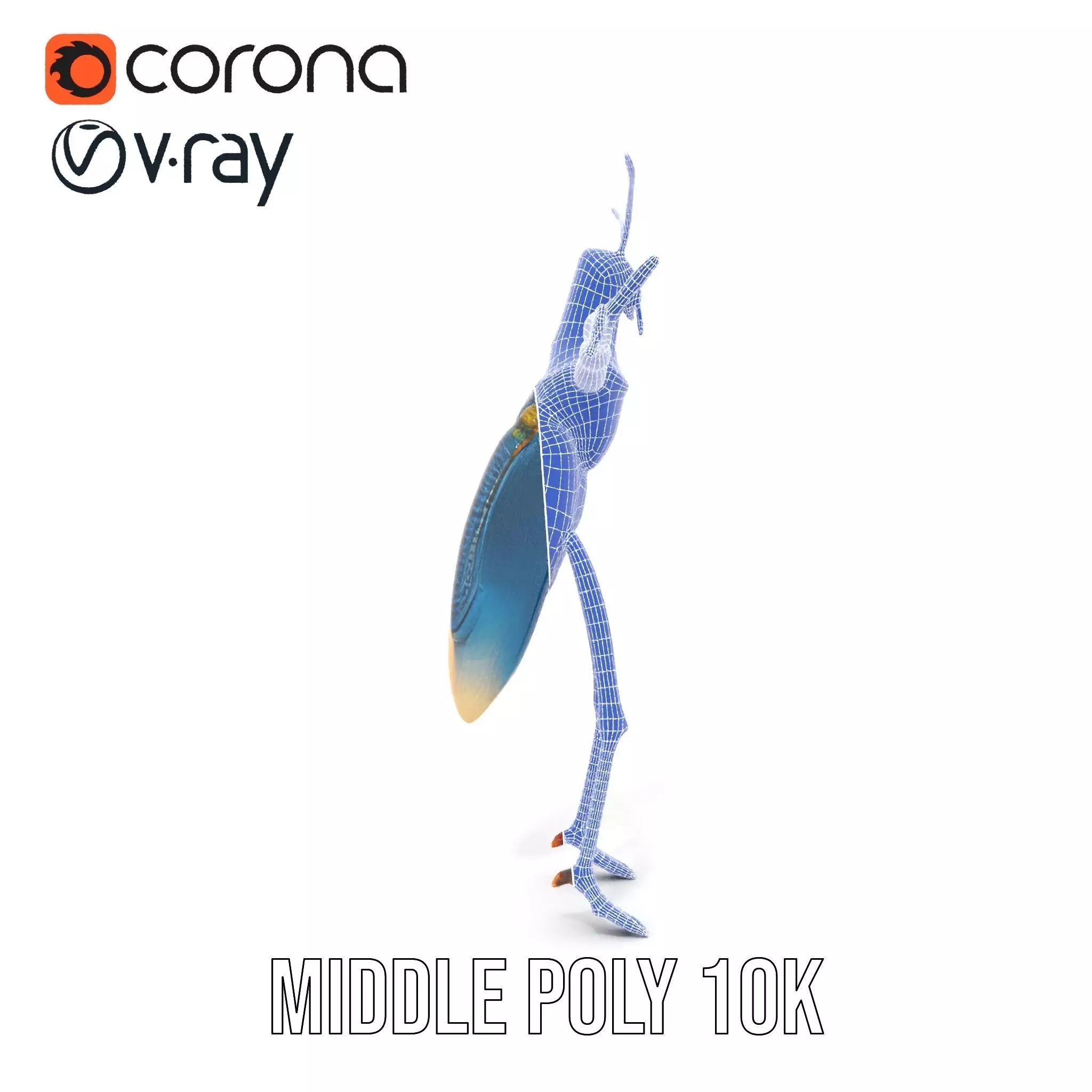 Cobalt Bug Humanoid model pack Low-poly 3D model_24